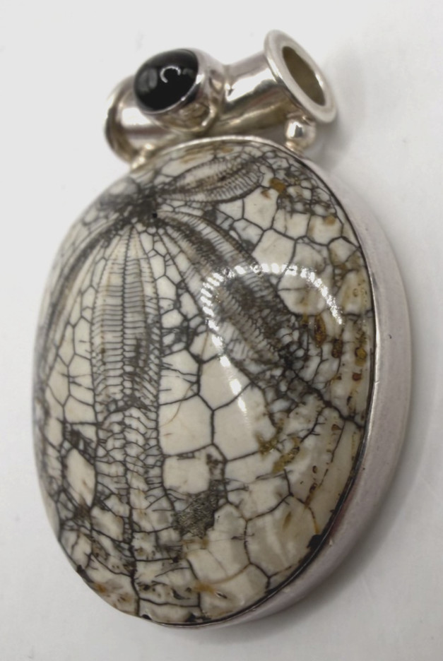 SAJEN Sterling Silver Fossilized Sand Dollar Circle Pendant w/ Onyx [076DUR]