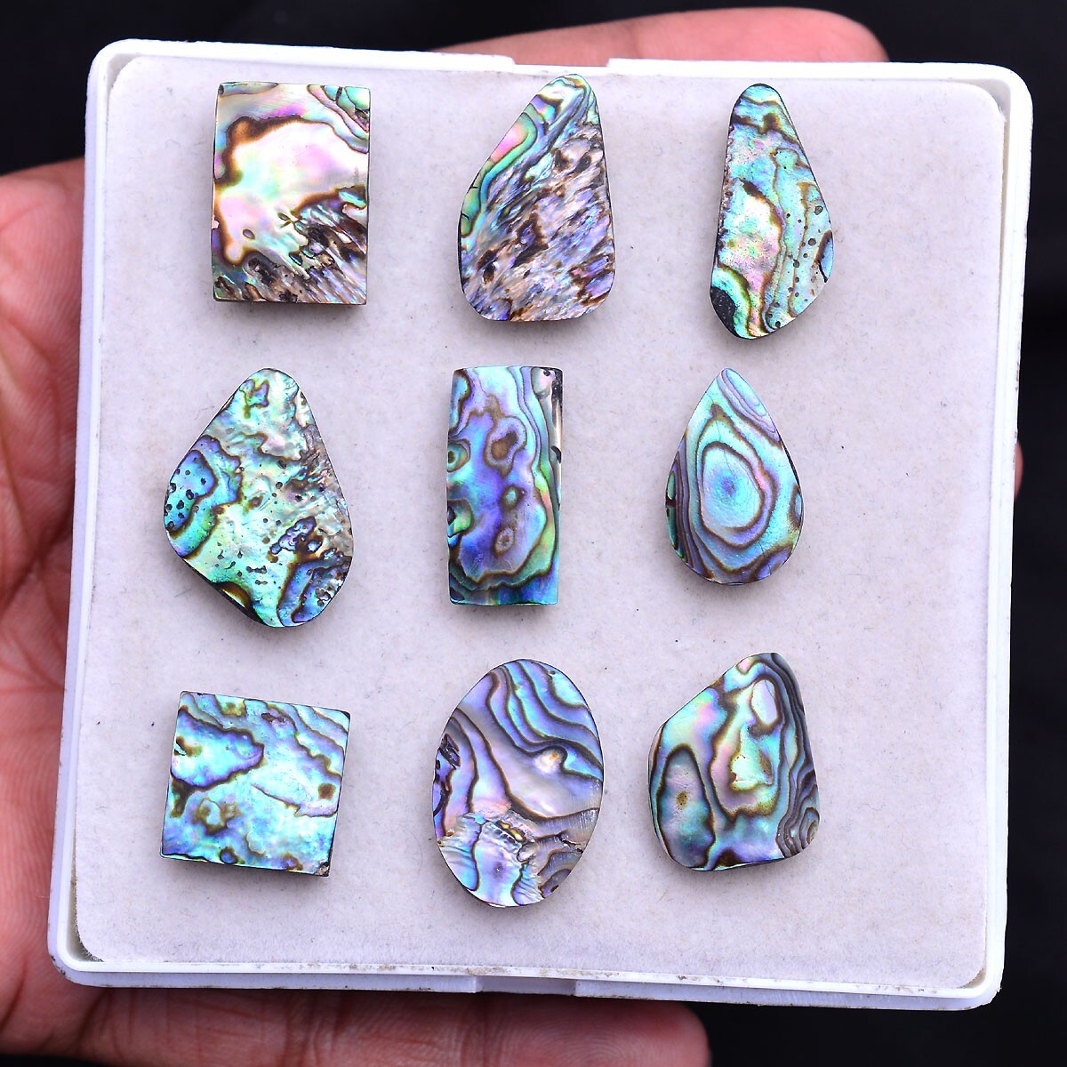 9 Pcs Natural Abalone Shells Rainbow Fire 15.79mm-23.80mm Cabochon Gemstones Lot