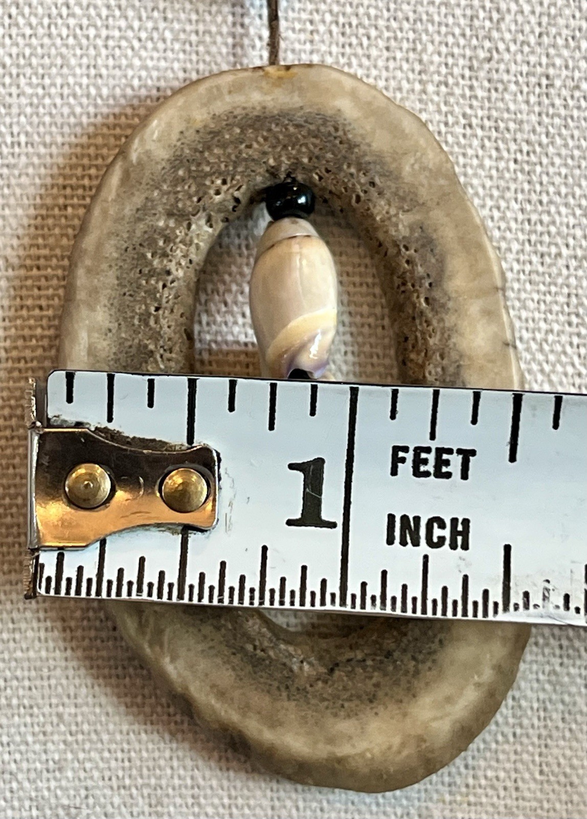 Vintage Deer Antler Slice Necklace Pendant With Hanging Shells Leather Cord