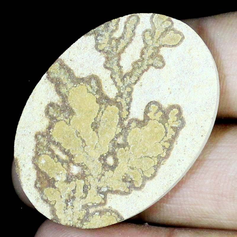Loose Gemstone 80.85CT 100% Natural psilomelane dendrite Oval Cabochon 33x45x6mm