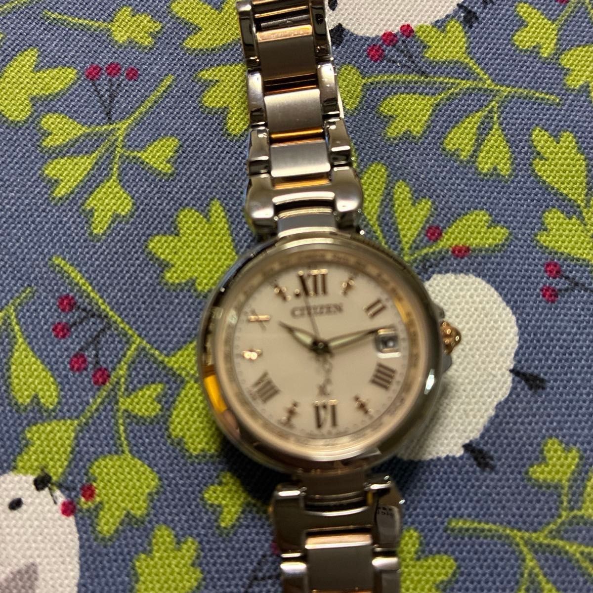 USED Excellent Condition CITIZEN XC Citizen Cross Sea Ladies Wristwatch EC1034 5