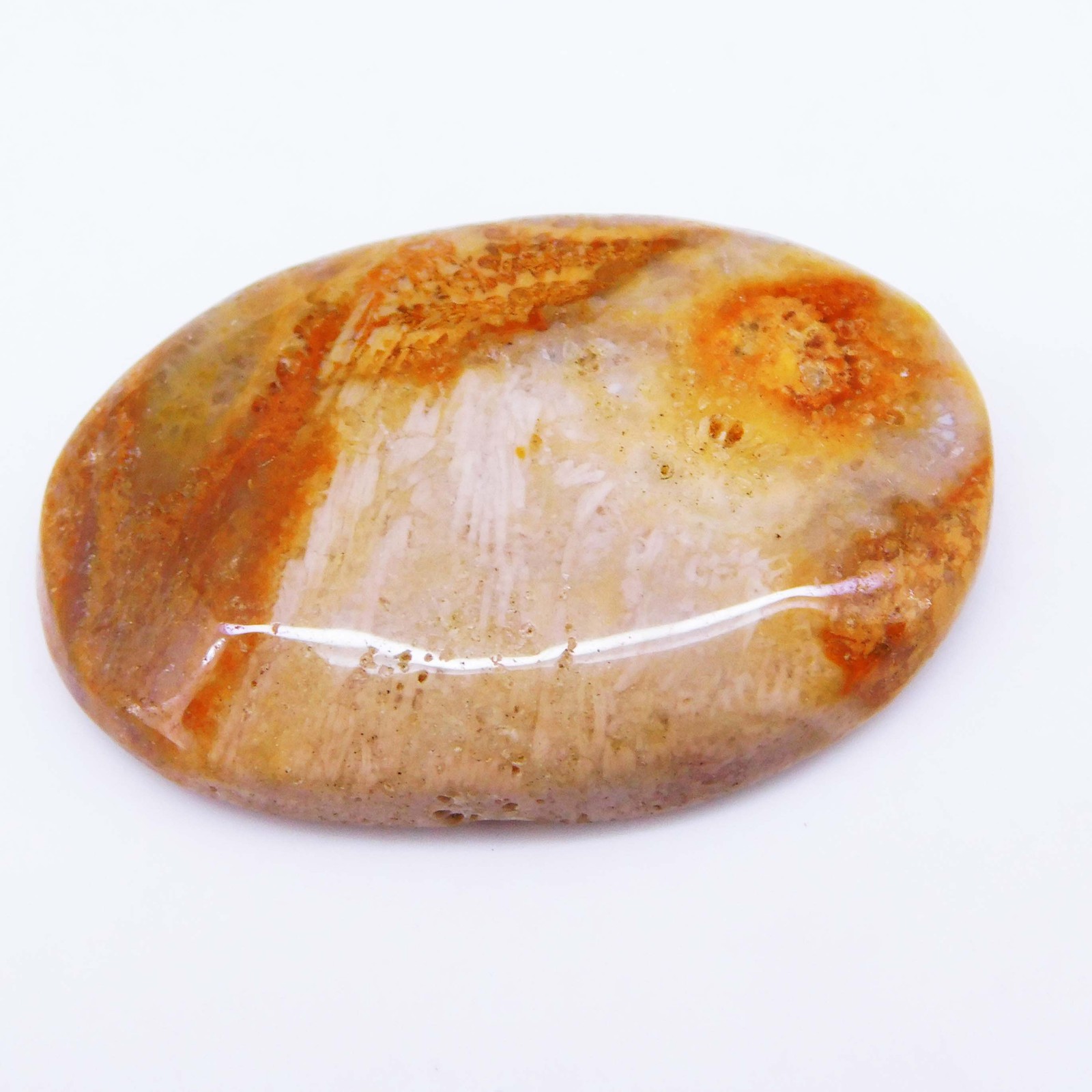 40.55 Ct Natural Fossil Coral Certified Untreated Loose Gemstone