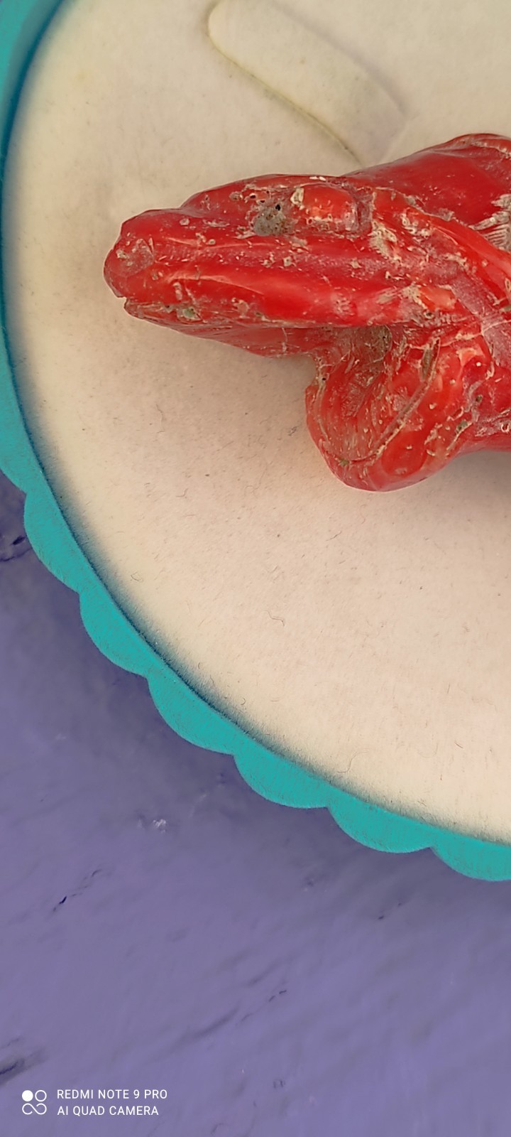 Natural Red Coral of Sardinia