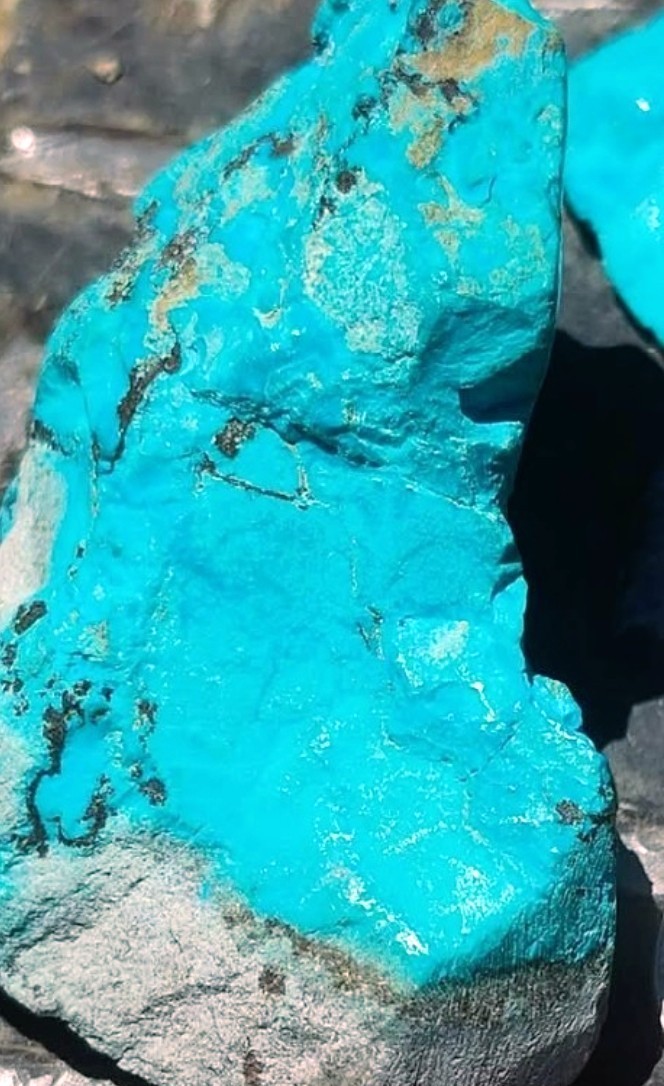 Lander Blue Spiderweb Pattern High Grade Cabachon Nonstanalized Natural Turquois
