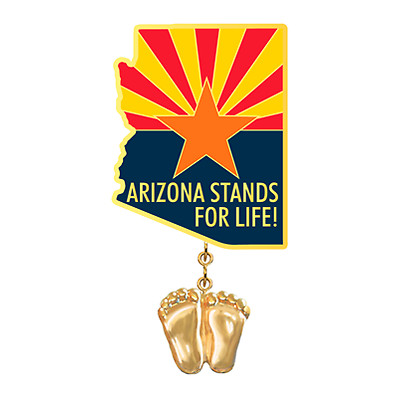 Precious Feet, 14K Gold Plated, Arizona Flag Jewelry, Lapel Pin