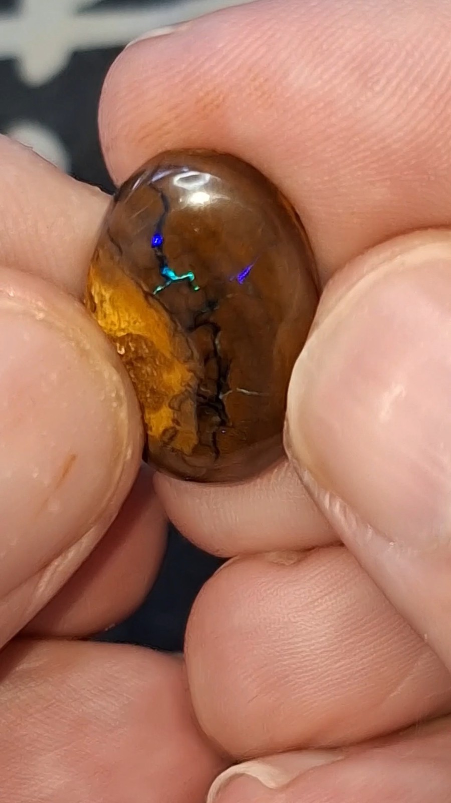 17.9ct Queensland Boulder Opal. Vibrant streaks of bright green & electric blue