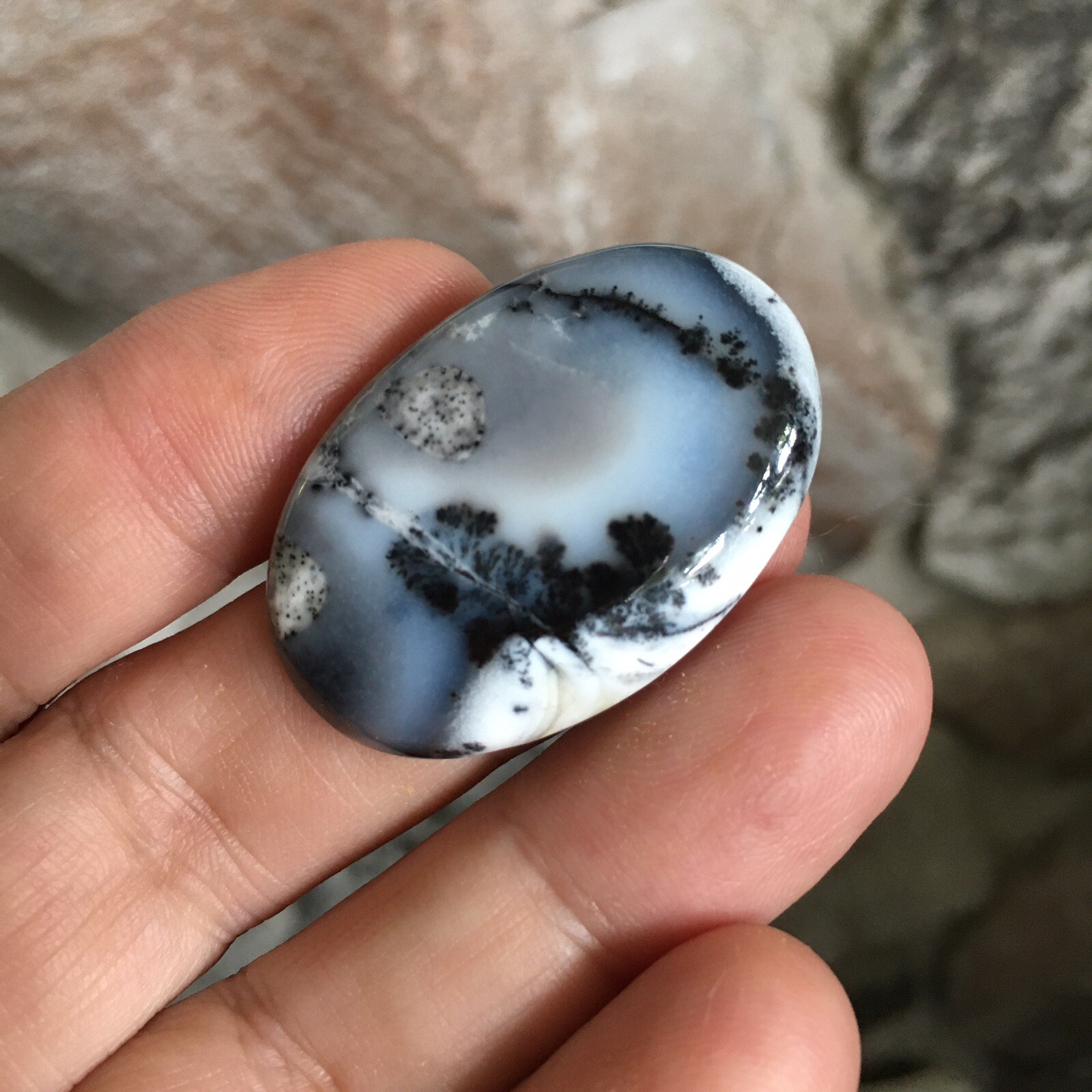 35x24x6mm Picture Like Dendrite Opal Oval Cabochon Loose Gemstone