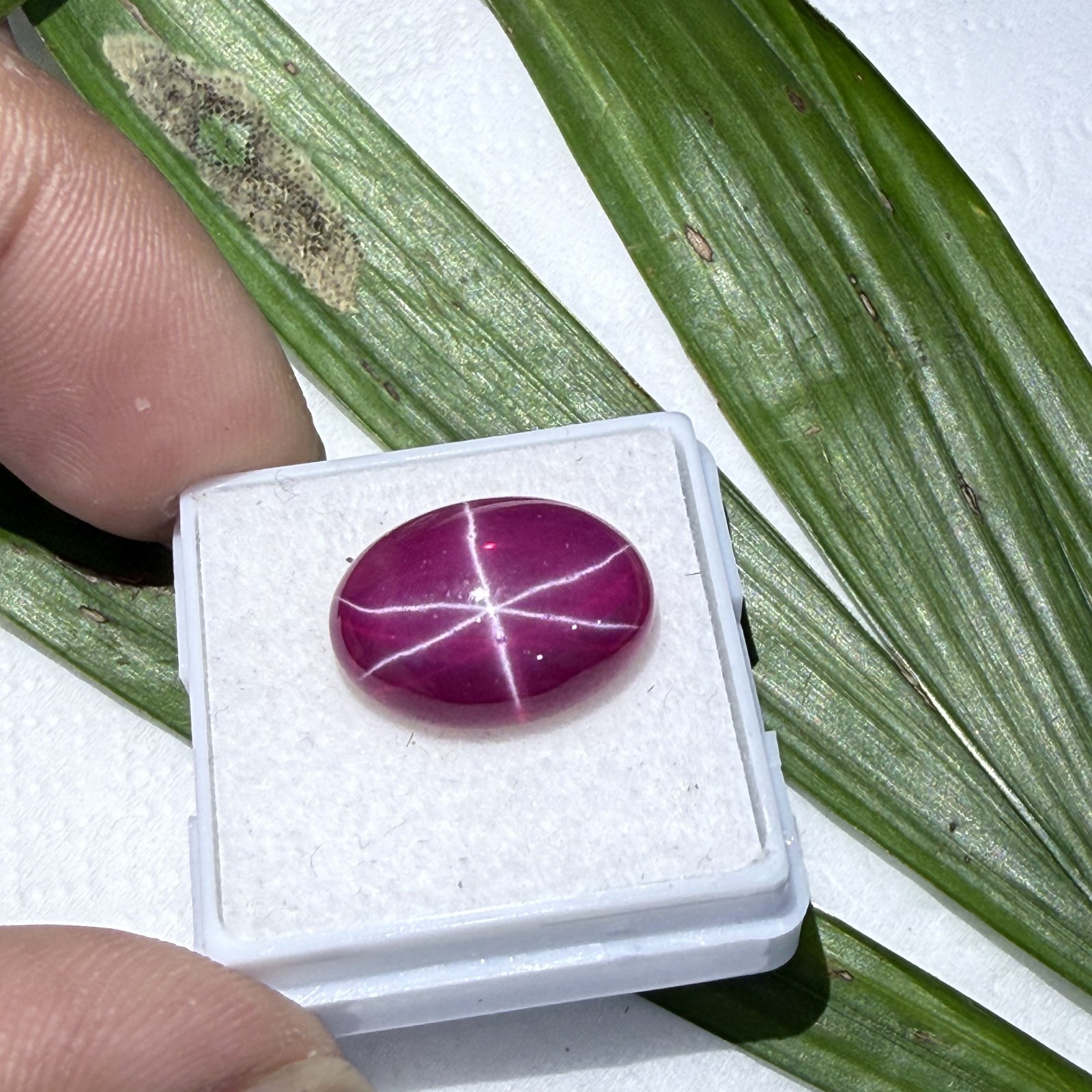 Certified 14.95 Ct Natural Vietnam Star Ruby 16.1×12.3 mm Oval 6-Ray Gemstone