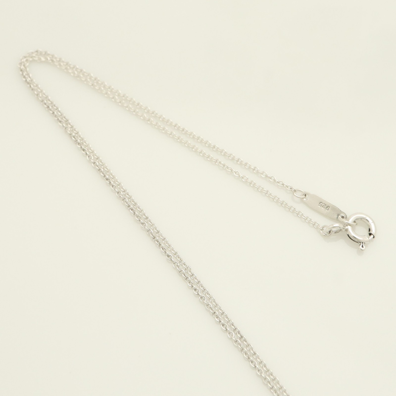 Authentic Tiffany & Co. Heart Keyhole Lock Necklace 16.1″ Silver 925 w/Pouch