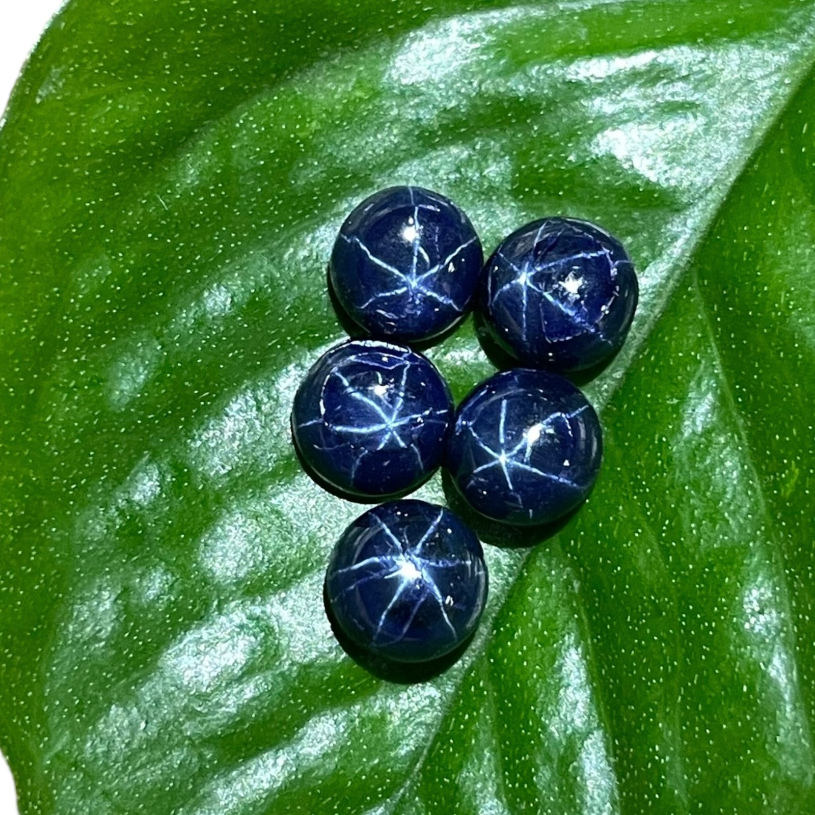 5 Pcs Natural Star Blue Sapphire 6mm Round Loose Cabochon Gemstones Lot