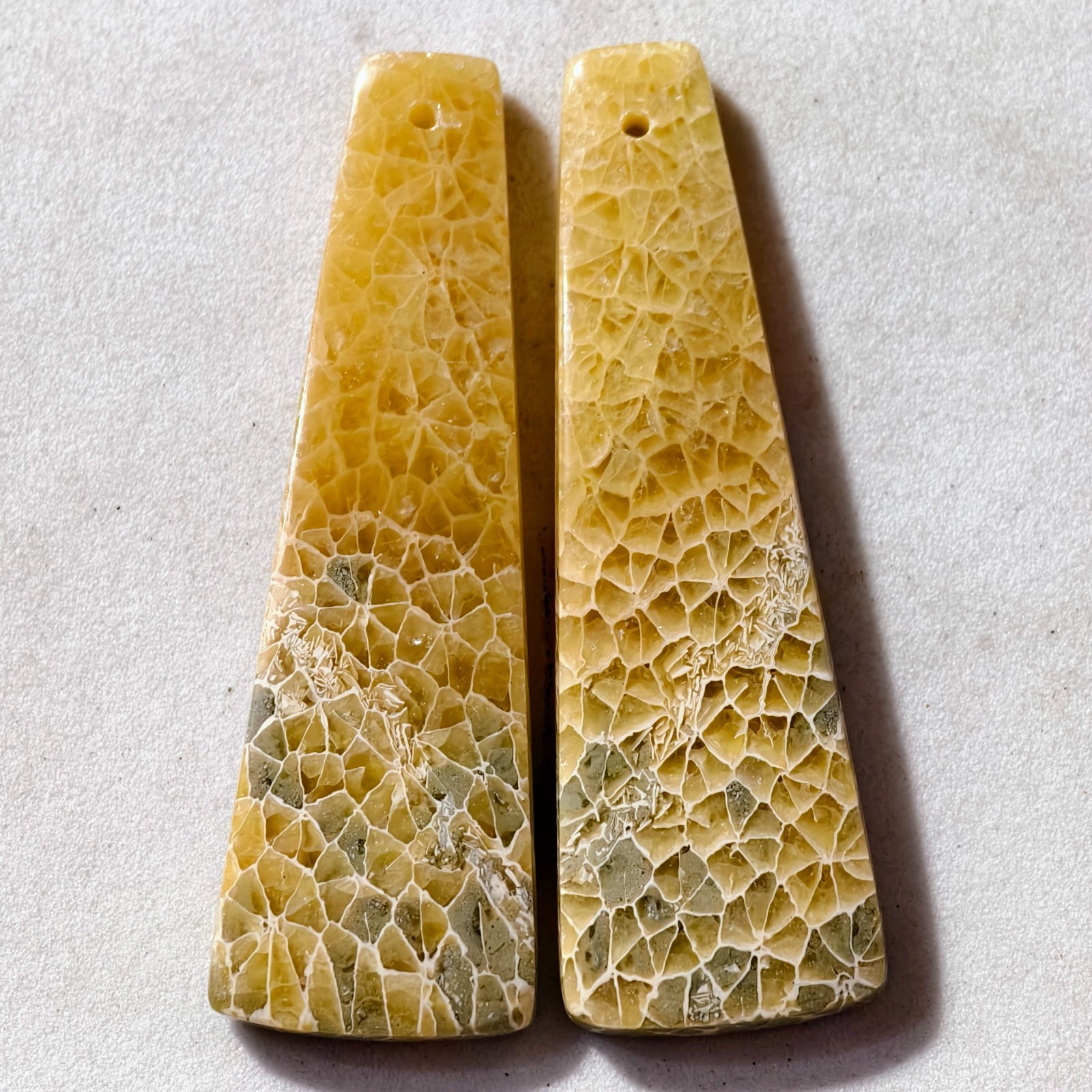 60 Cts Natural Fossilized Coral Drilled Pair Cabochon Gemstone 46.7 X 15.2 MM