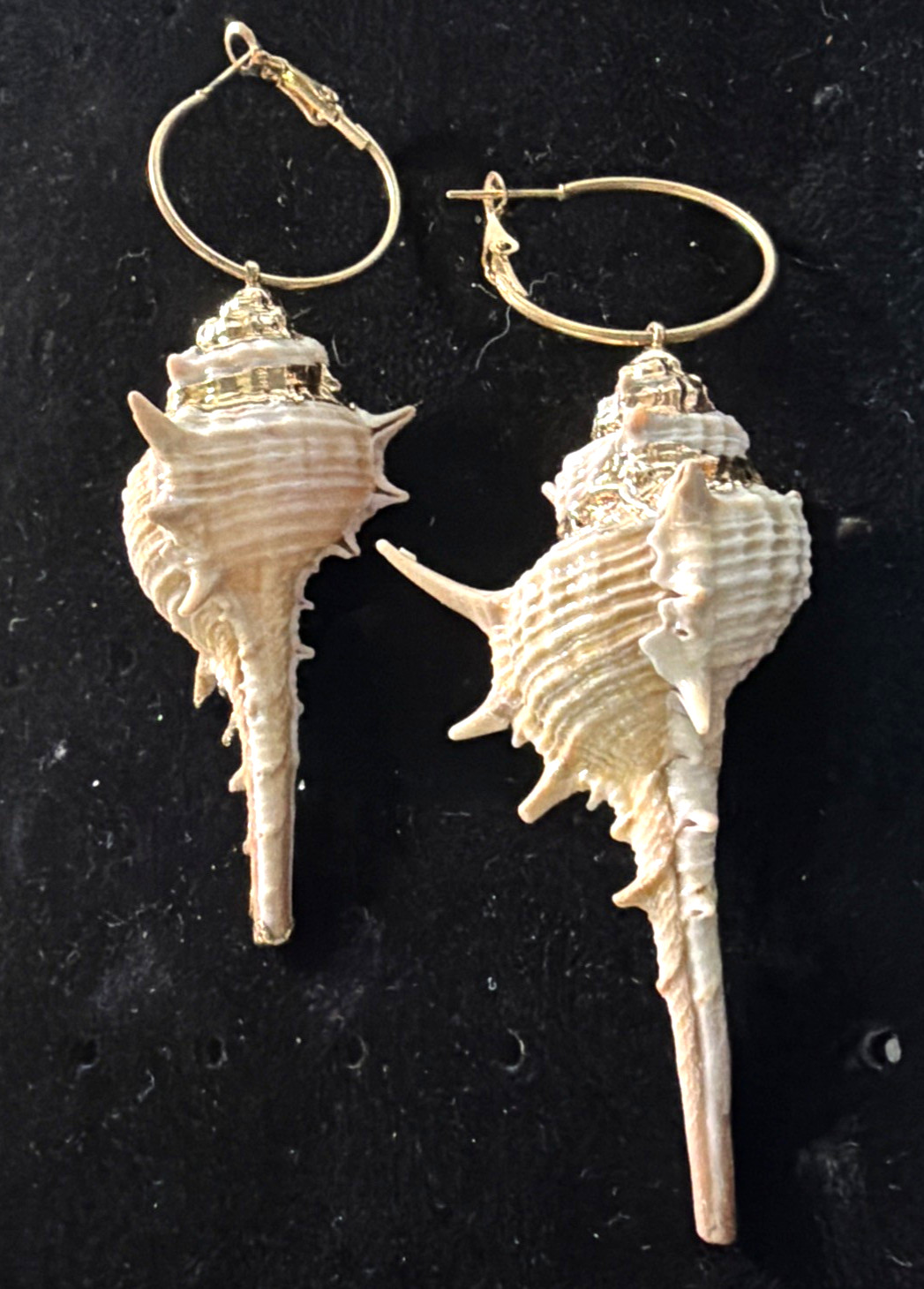 Conch Shell Hoop Dangle Gold Tone Earrings Pierced 3.5 In. Gold Accent