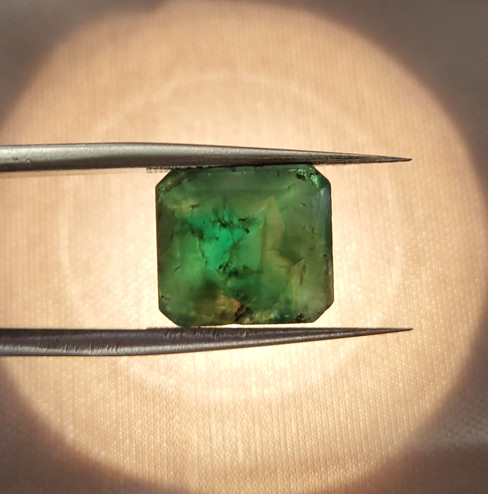 Natural Untreated Certified Translucent Green Zambian Emerald 11x10mm 6.90ct