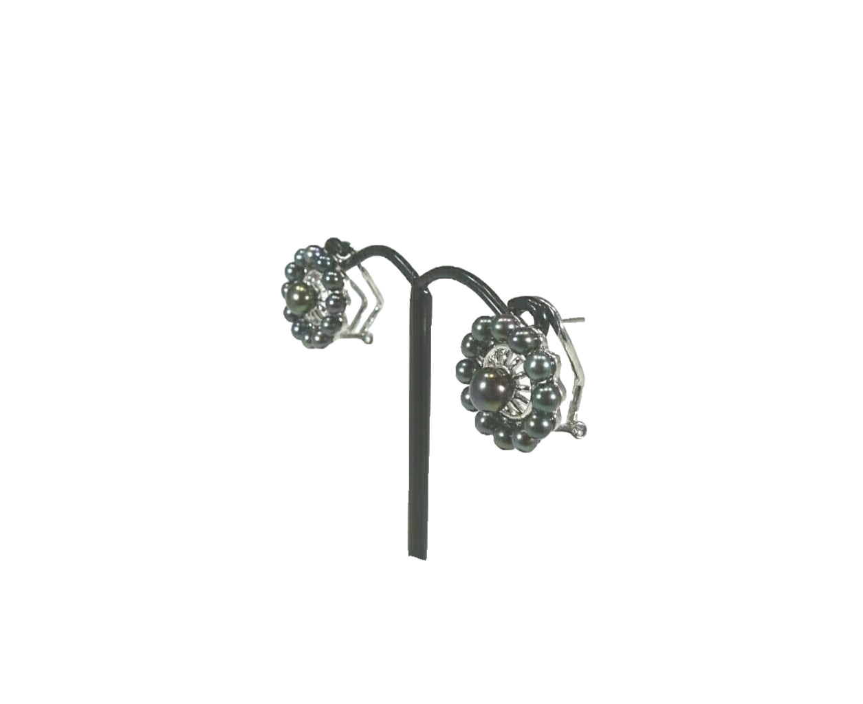 Cultured Freshwater Black Pearl Solid Sterling Silver Omega Back Earrings