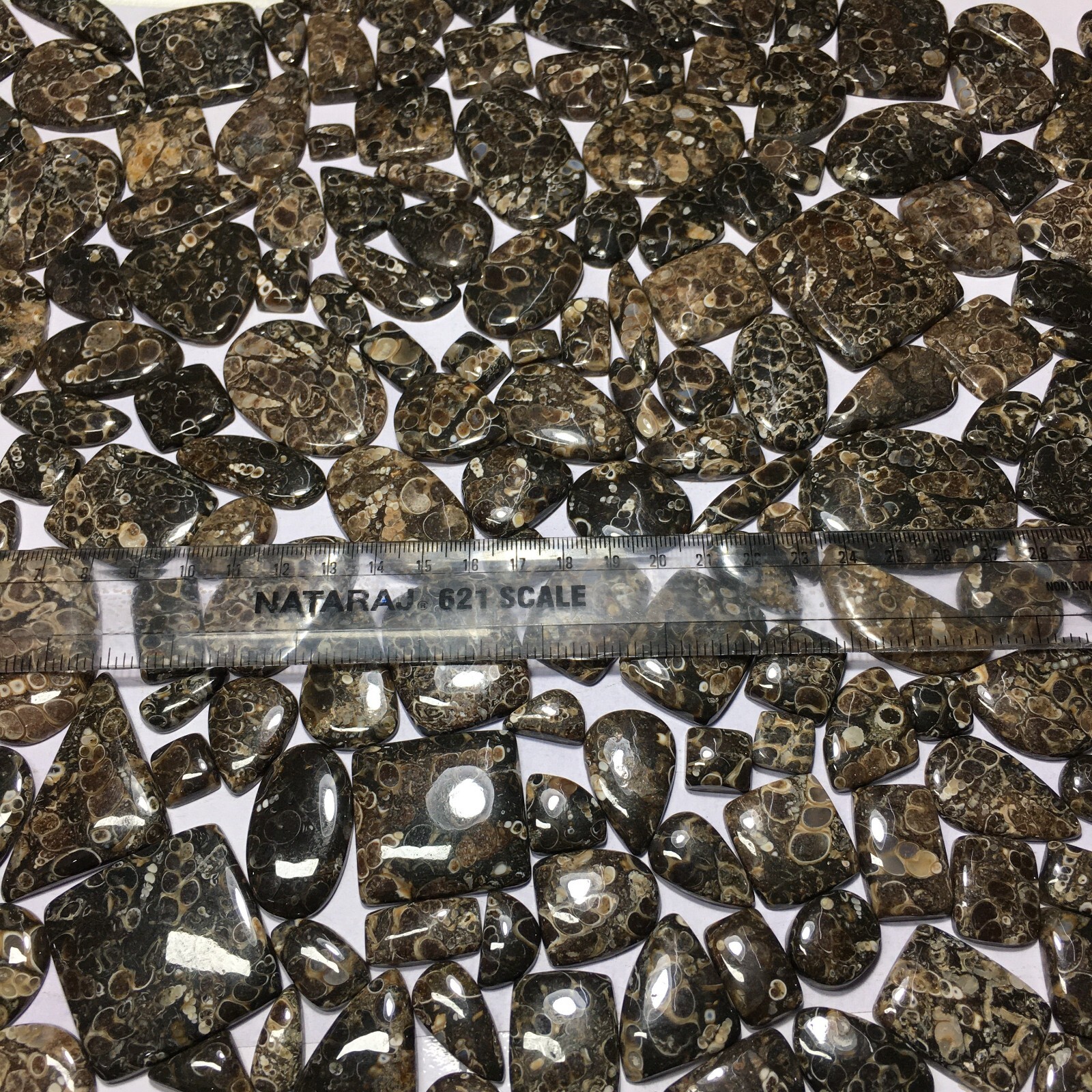 Turritella Agate Loose Cabochon Spiritual Gemstone Natural