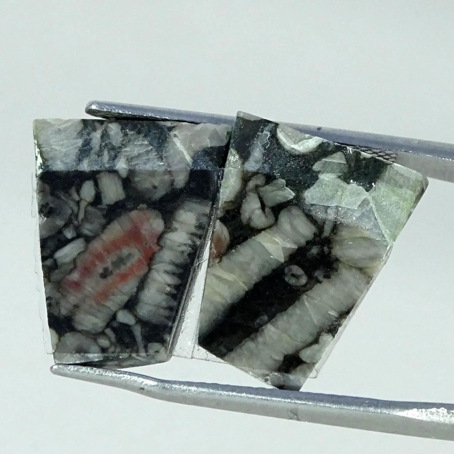 11.00Cts 100% Natural Crinoid Fossil Fancy Cabochon Pair Gemstone 12X16X3MM