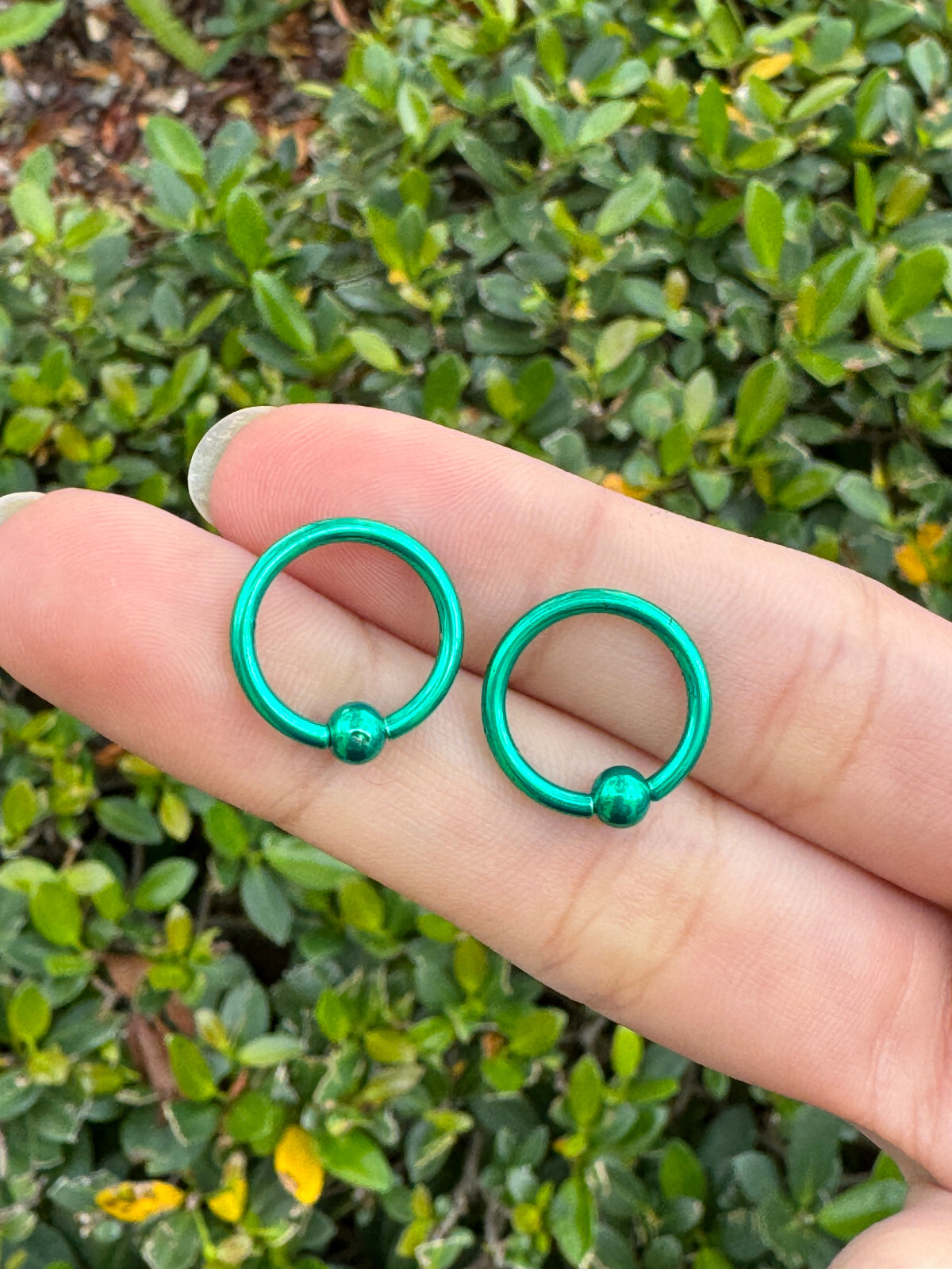 Captive Bead Ring surgical steel Pvd 14G Earrings Hoops Lip Belly Nipple 12PK