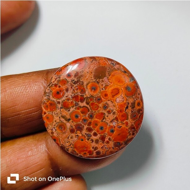 Poppy Jasper Natural Poppy Jasper Cabochon Loose Gemstone Jewelry 36 Ct ME-10402