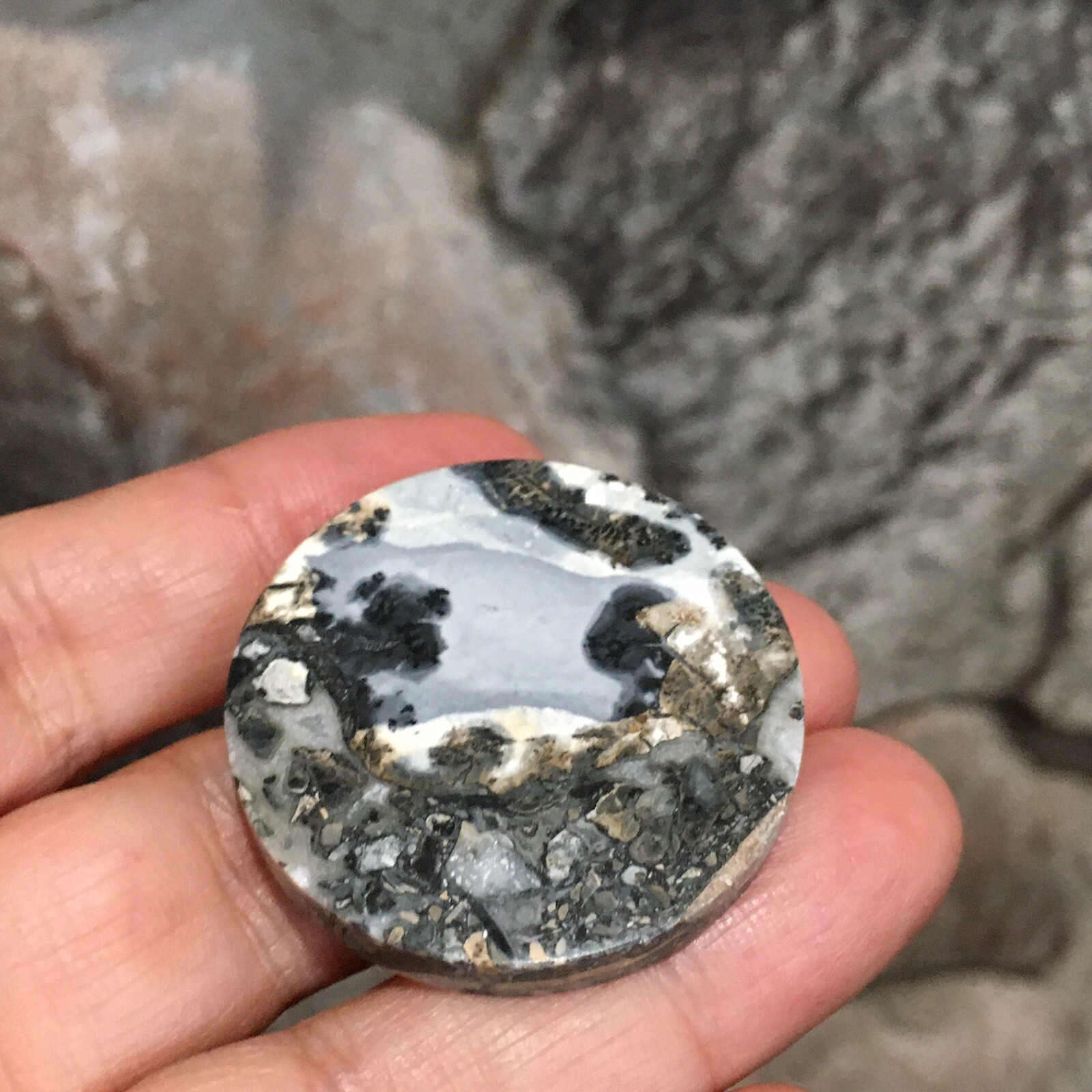 35×5.5mm Collectors’ Fine Maligano Jasper Round Cabochon Picture Stone