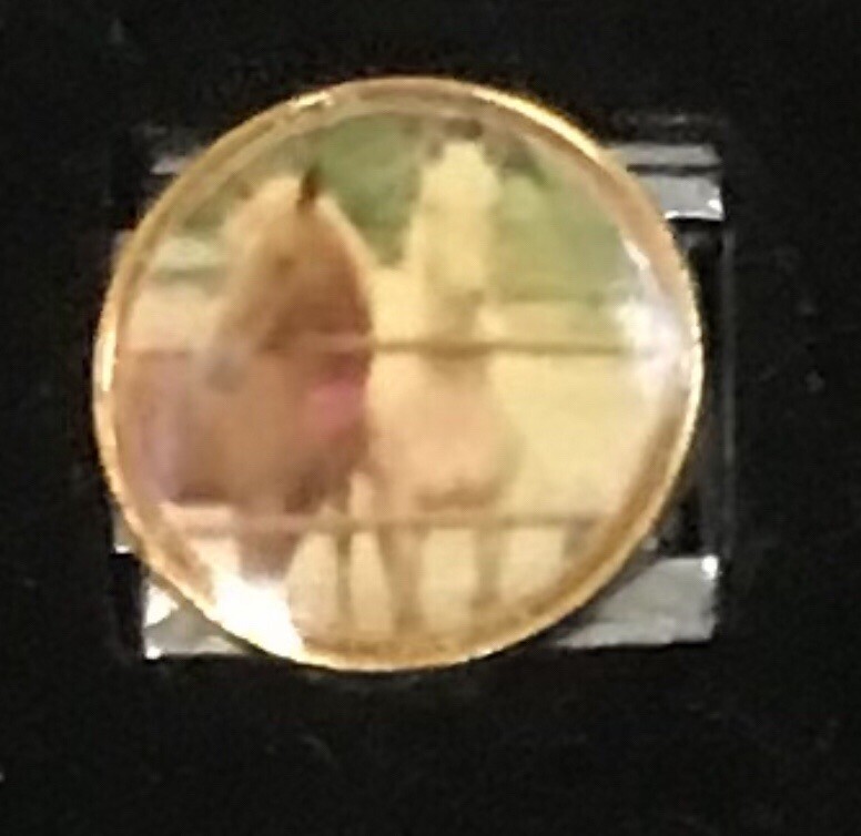 Horses Italian Charm Enamel Link 9MM K47
