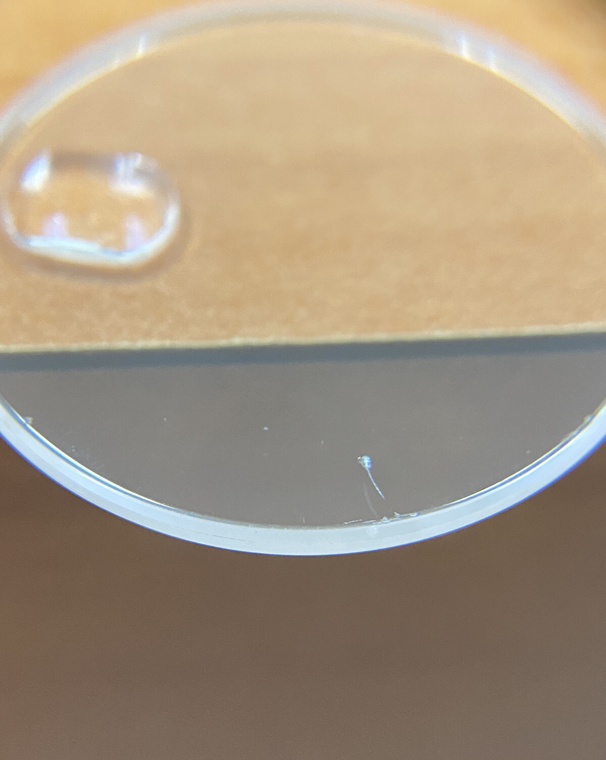 Genuine Rolex Sapphire Cyclop Crystal 25-295C. #14
