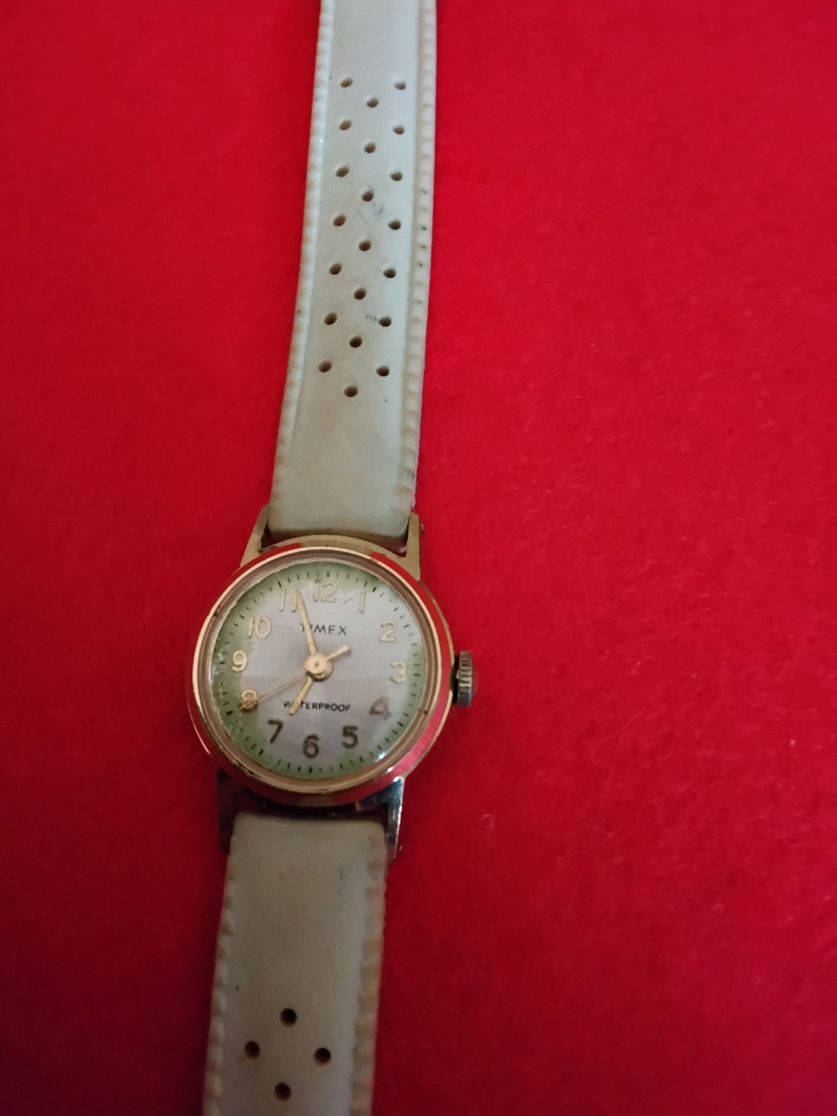 Timex Womens Mechanical Analog Watch White Dial Arabic Numerals White Strap