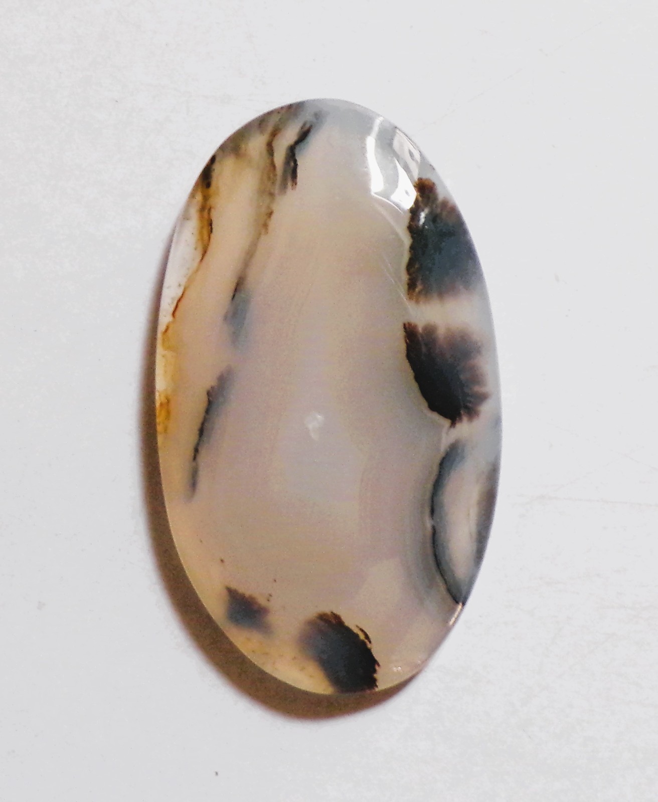 53.70 Cts Natural Montana Agate Cabochon Loose Gemstone 45X26X5MM 45