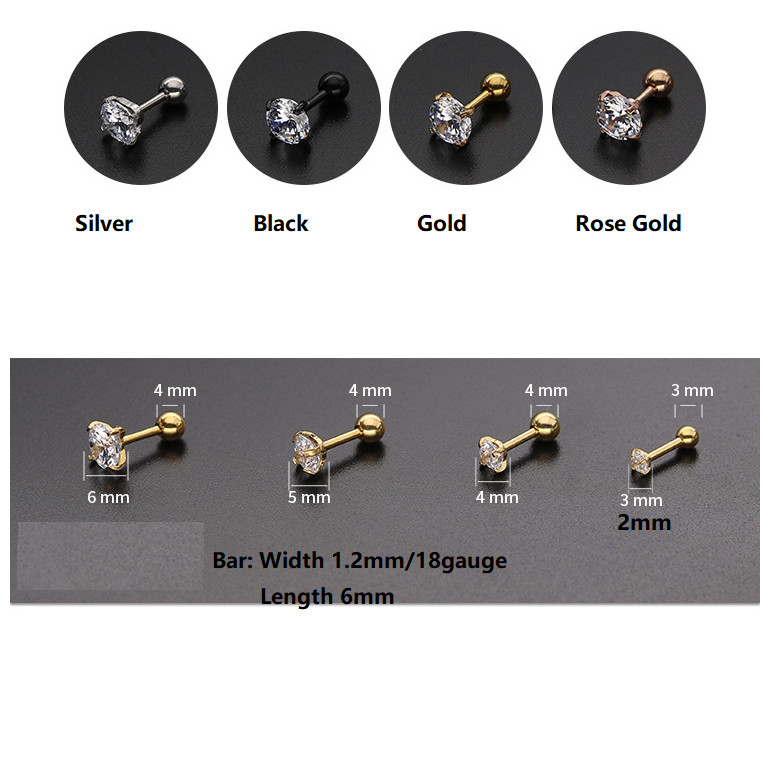 2Pcs Surgical Stainless Steel Round CZ Earrings Screw Back Ear Studs Men Women