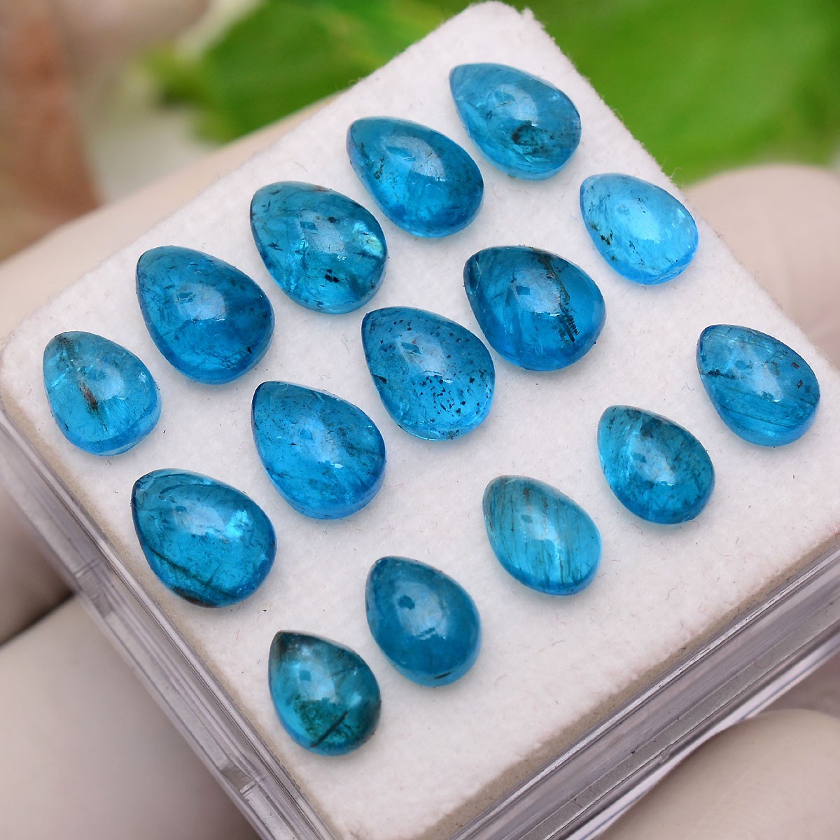 Set 15 Pcs Natural Apatite Untreated 7mm-8mm Pear Stunning Loose Gemstones Lot