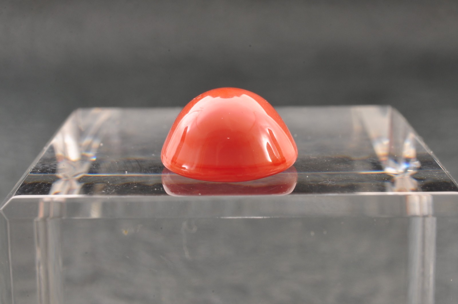 With Certification Single color MOMO coral oval Cabochon ( 15mm(0.59in) 8.85ct).