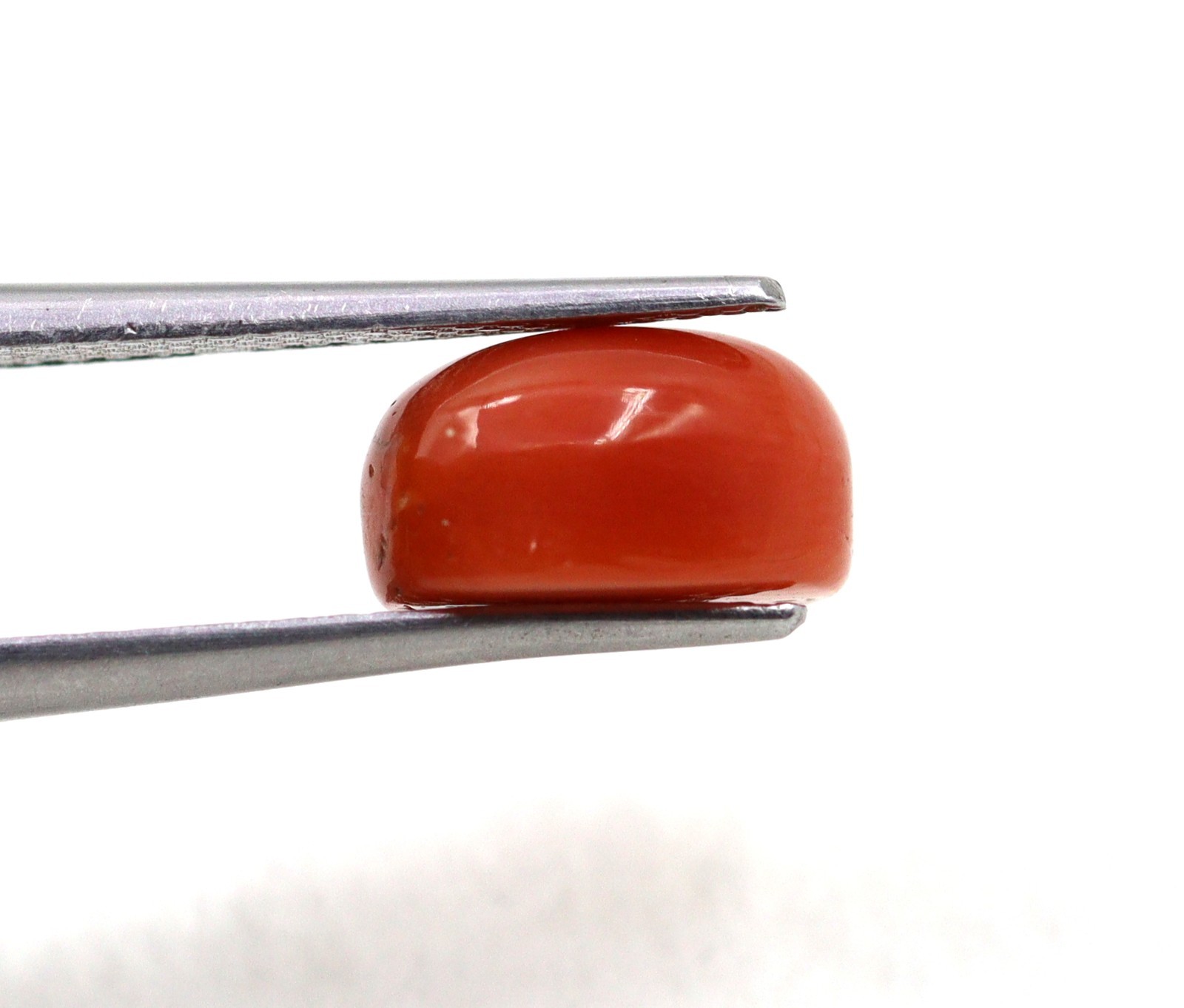 Oval Shape Italy Mined 2.76 Ct Natural Coral Orange Color Loose Gemstone