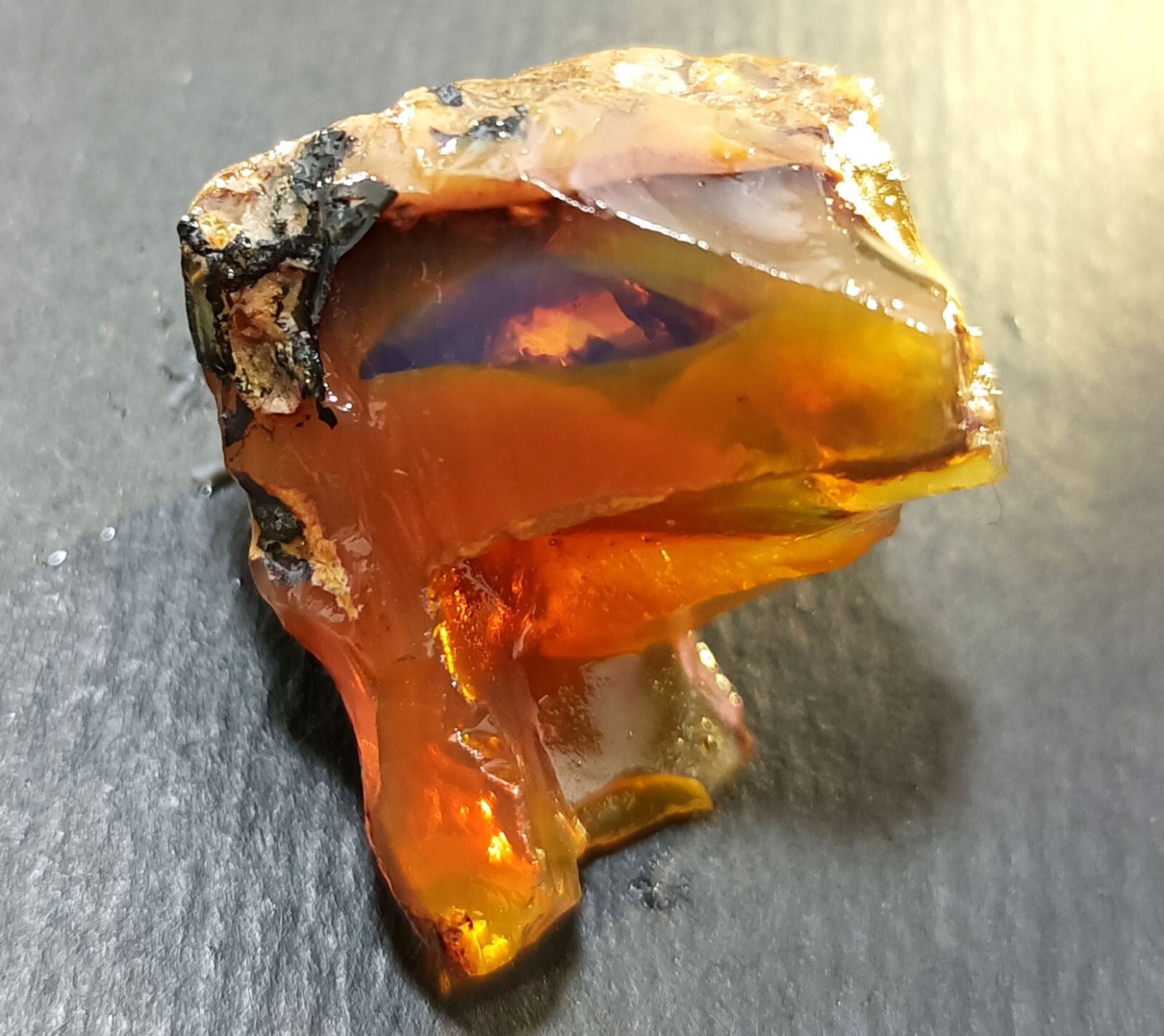 43.55 Ct Natural Ethiopian Black Opal Welo Rough EGL Certified LOOSE GEMSTONE