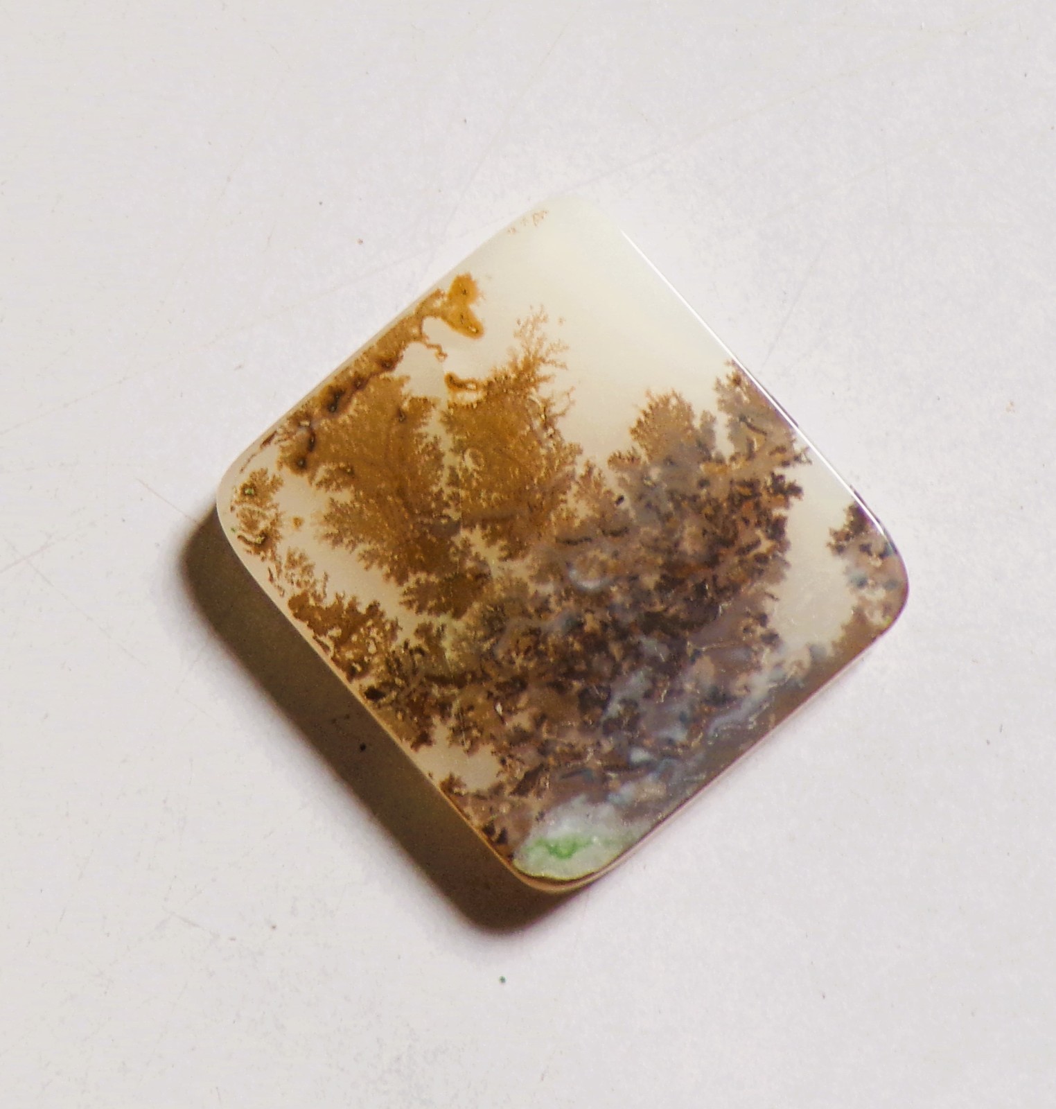 13.90 Cts Natural Shazar Dendritic Agate Cabochon Loose Gemstone 20X18X3MM 169