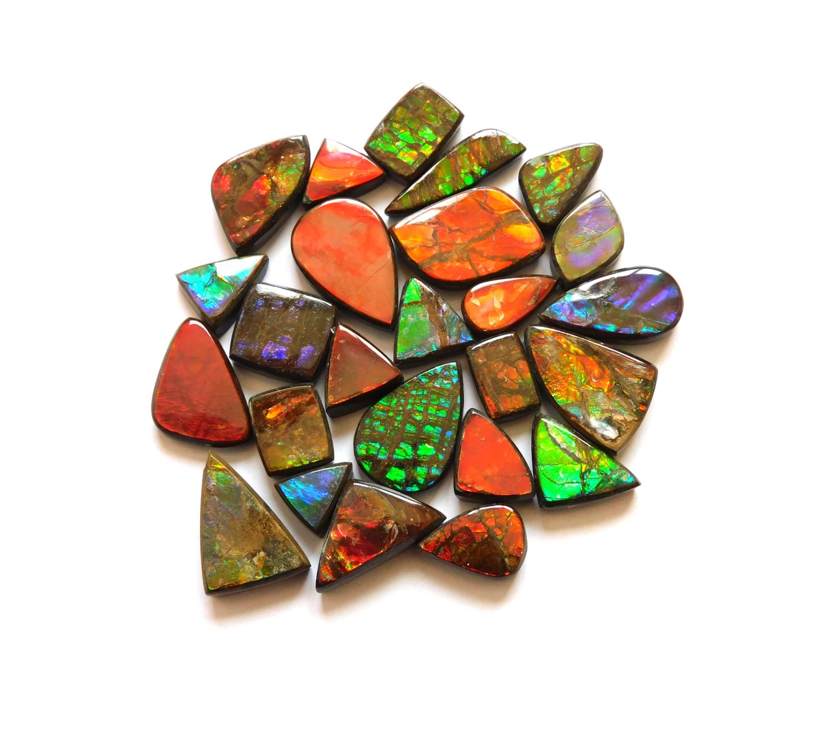 114.40 Cts Natural Ammolite 25 Pcs Lot Loose Cabochon Gemstone CN03