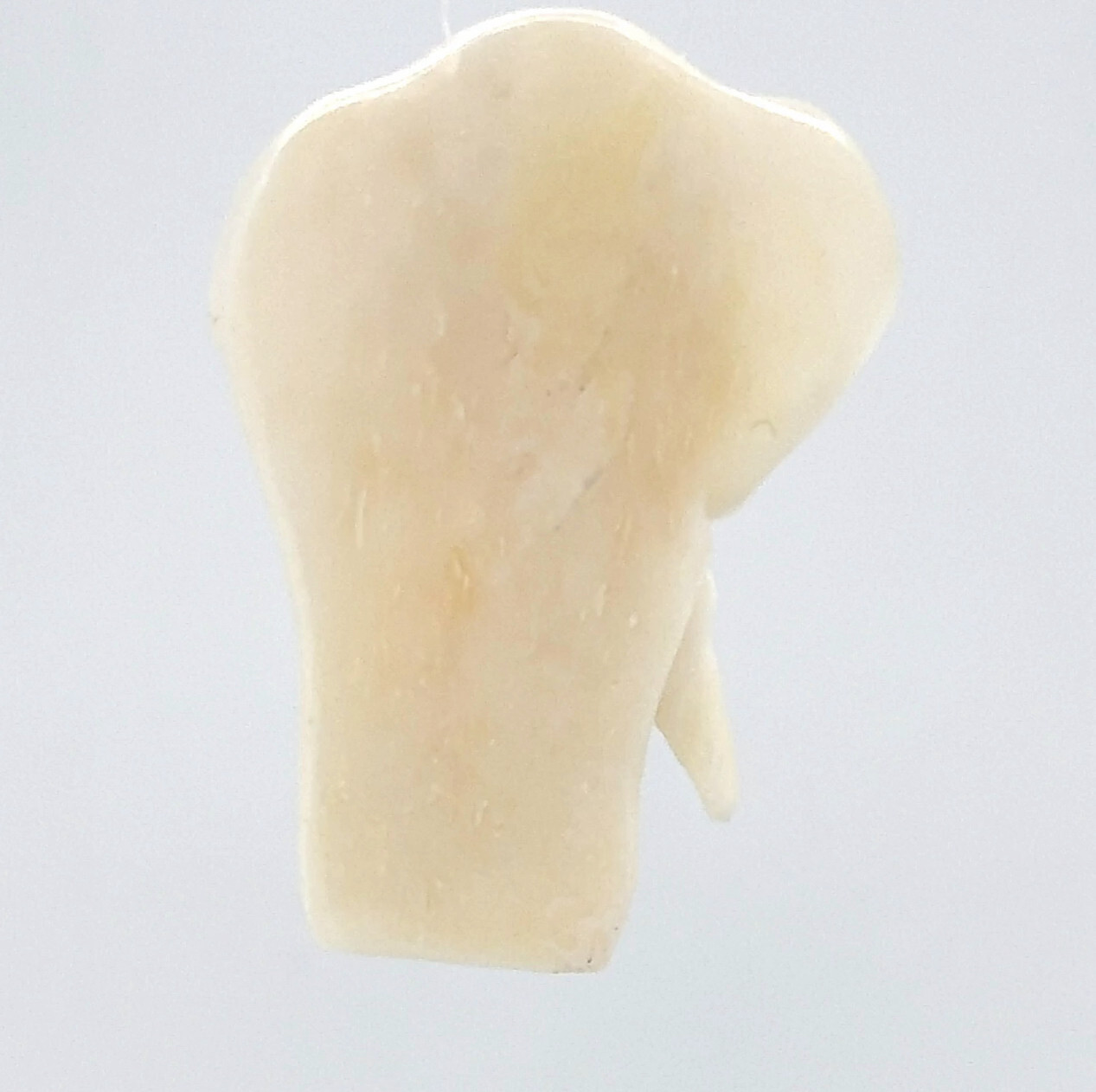 Hand Carved Water Buffalo Bone Elephant Pendant