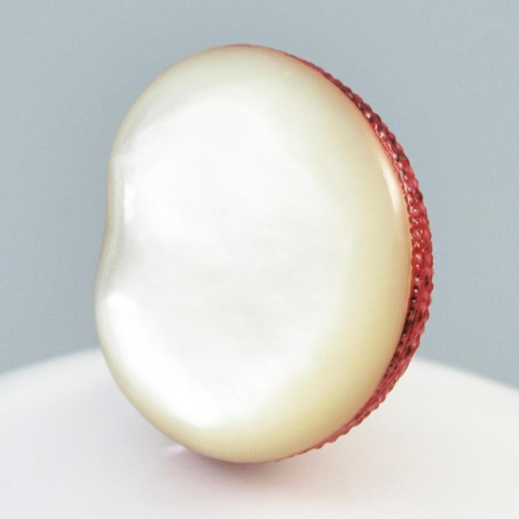 Rare Strawberry Top Shell Cabochon Red Clanculus puniceus | Jewelry Design 1.72g