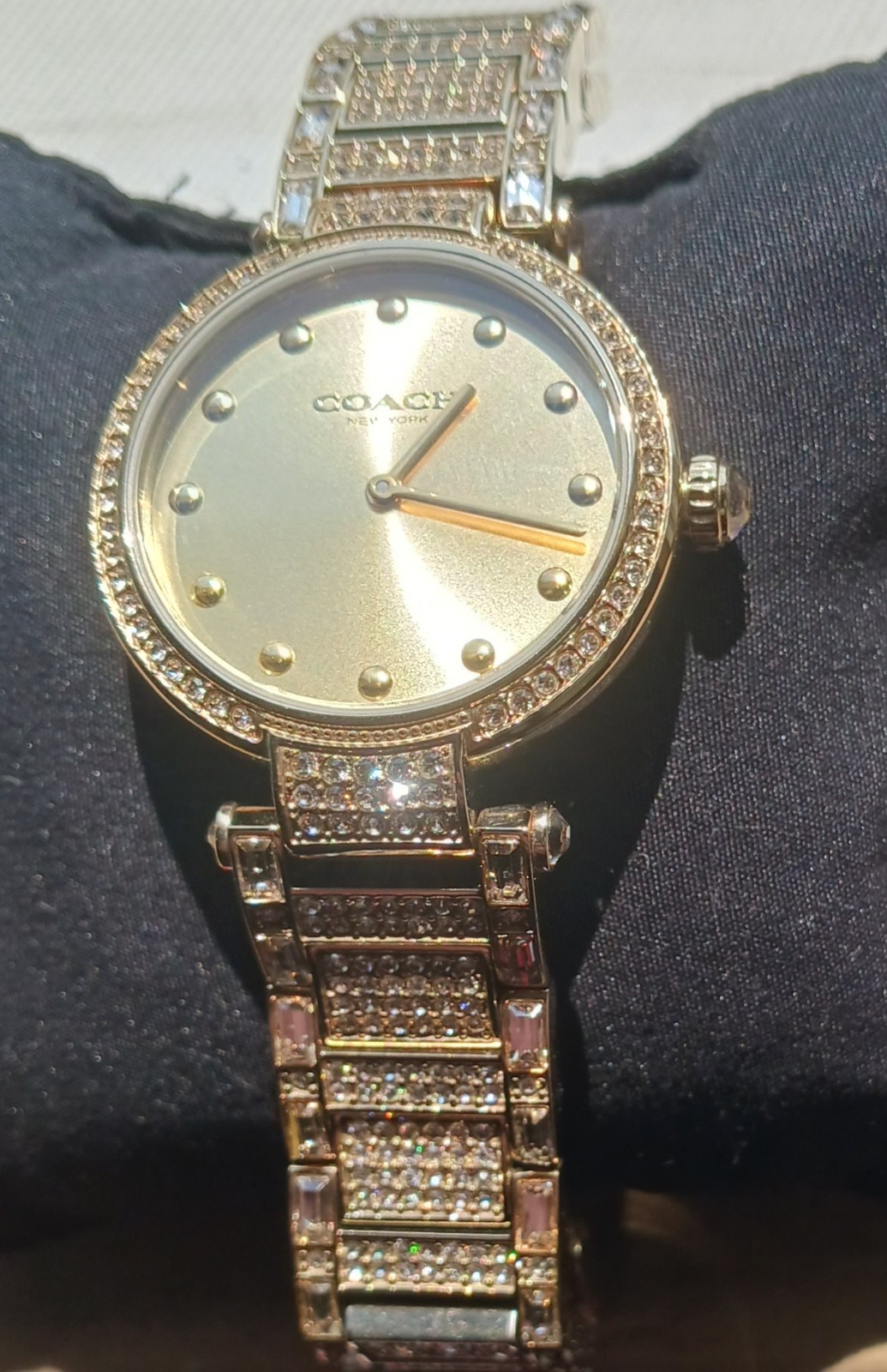 Coach CAREY WATCH UNWORN NIB W/TAGS