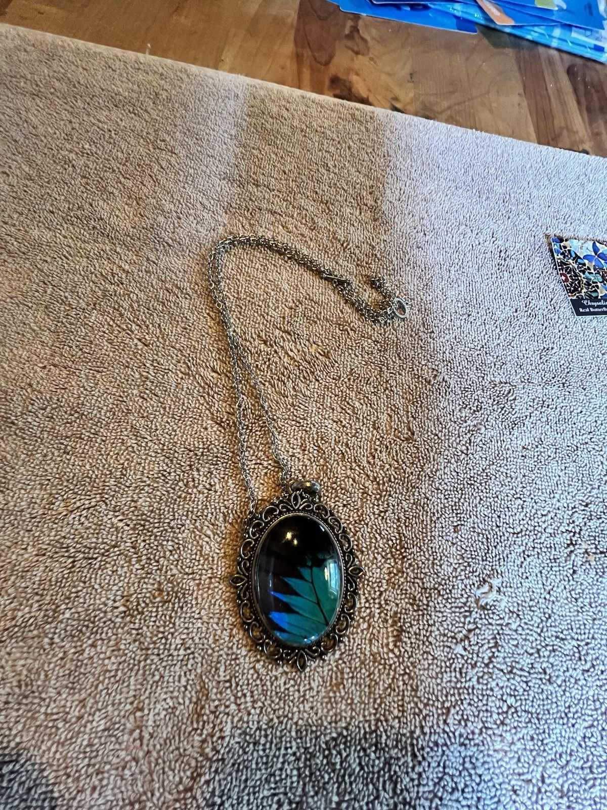 Chrysalis Butterfly Necklace
