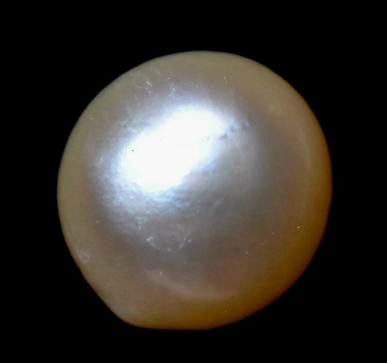 Natural Australian South Sea White Pearl 8.20 CT Certified Untreated Gemstone