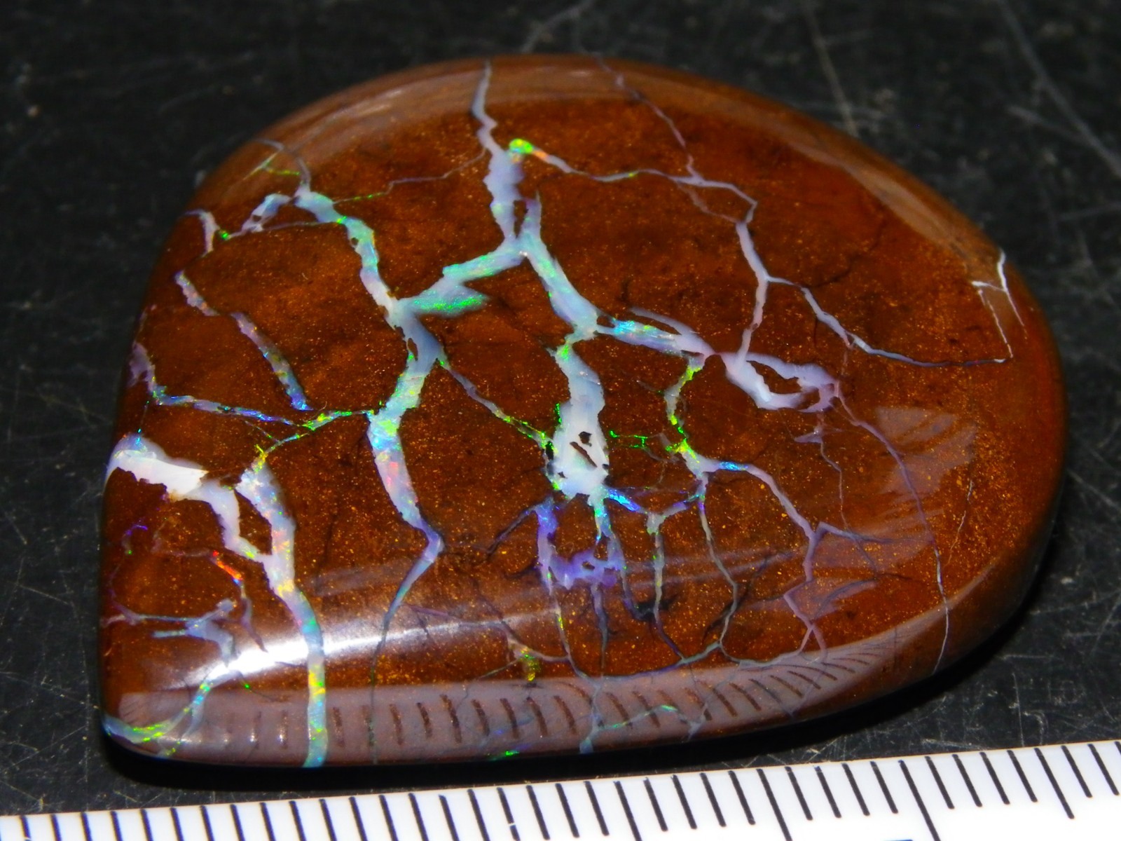 Quality Opalton Boulder Matrix Opal Freeform Cab 128.78cts Multicolour/Veins Qld