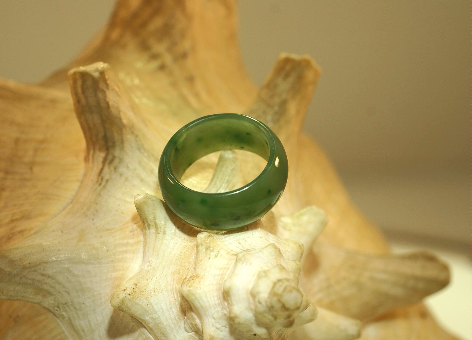 9-10MM NATURAL LIGHT-MEDIUM SOLID CANADIAN NEPHRITE JADE WIDE BAND DOMED RING