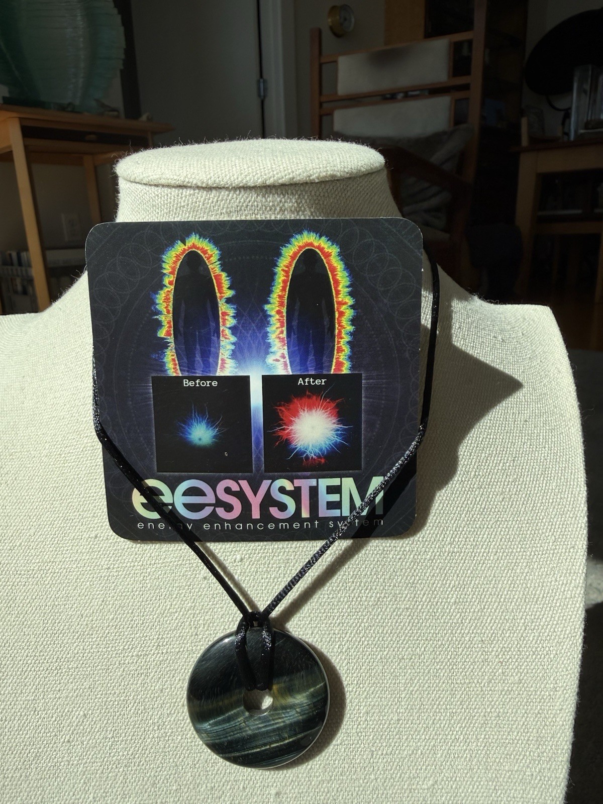 EEMedallion | Hawk Eye | EESystem Scalar Enhanced, Torus, Donut Natural Stone