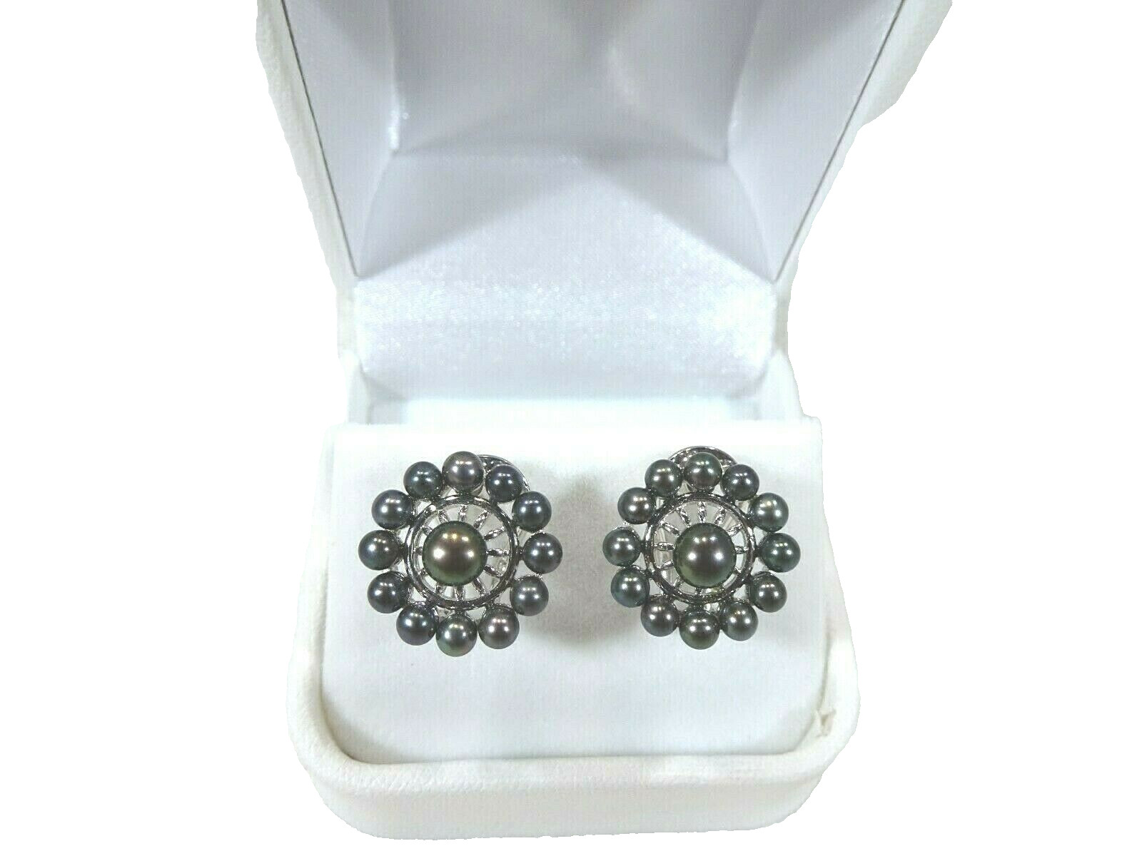 Cultured Freshwater Black Pearl Solid Sterling Silver Omega Back Earrings