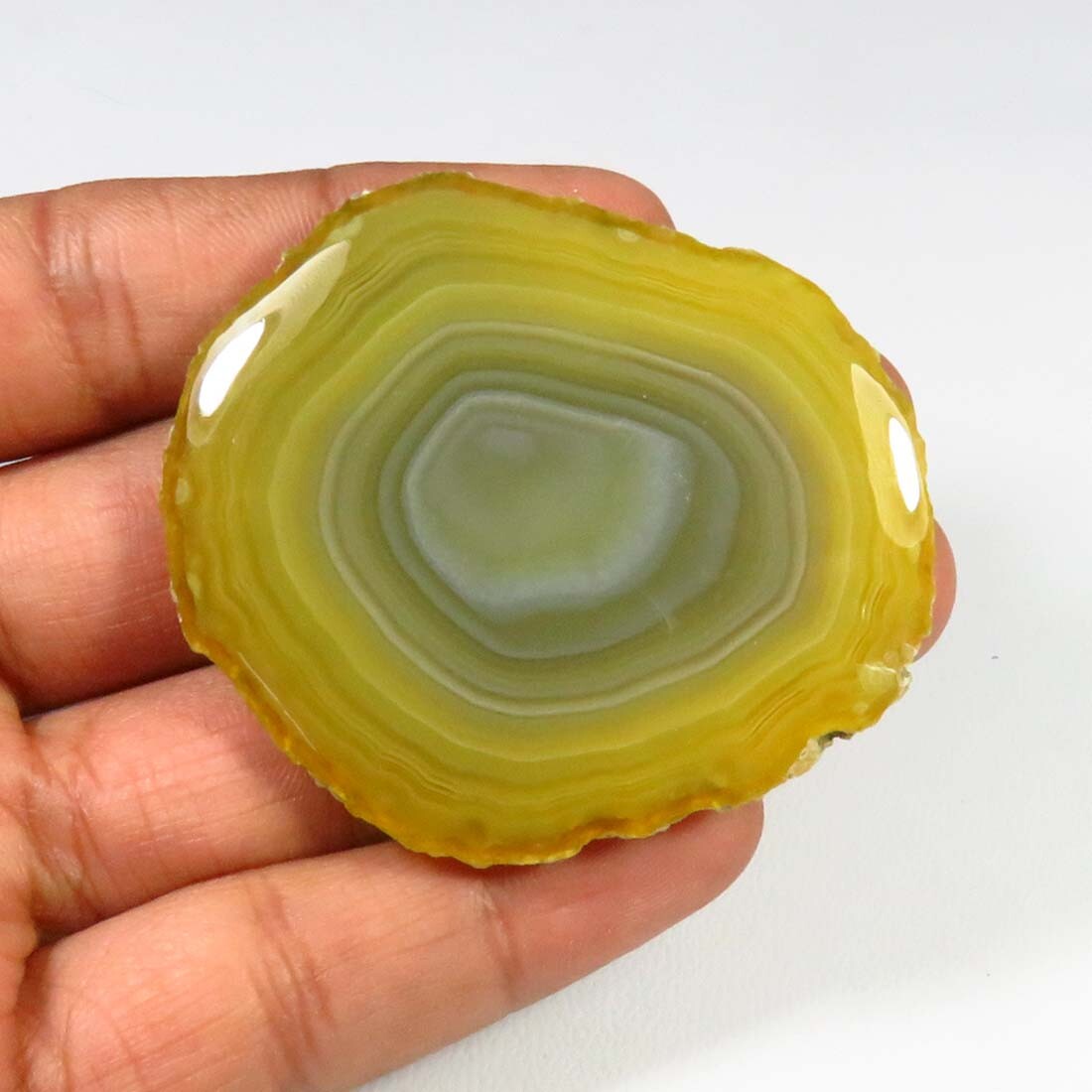 Genuine Slice Agate Cabochon Slice Brown Gemstone Geode Loose 53x44mm SCL-1173