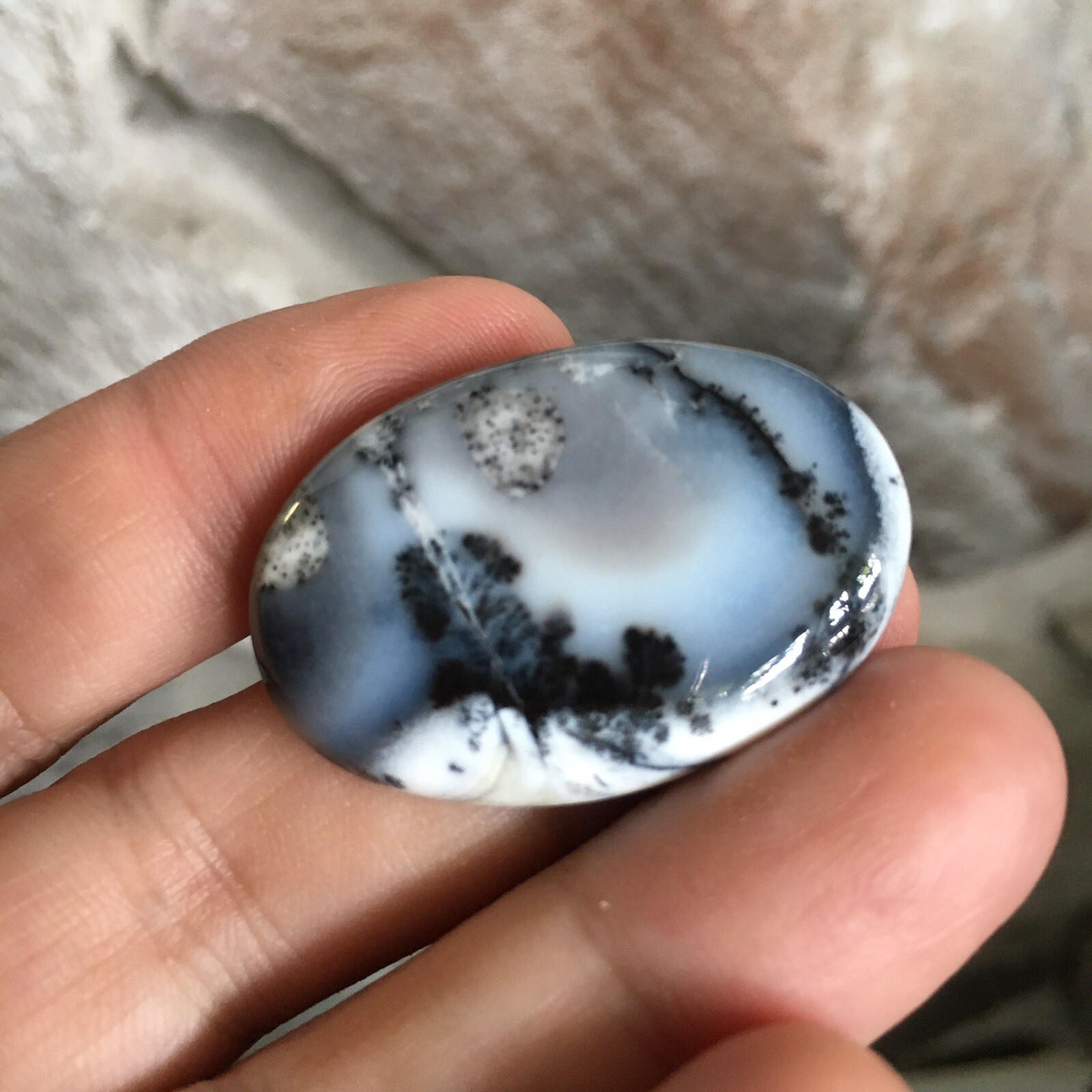 35x24x6mm Picture Like Dendrite Opal Oval Cabochon Loose Gemstone