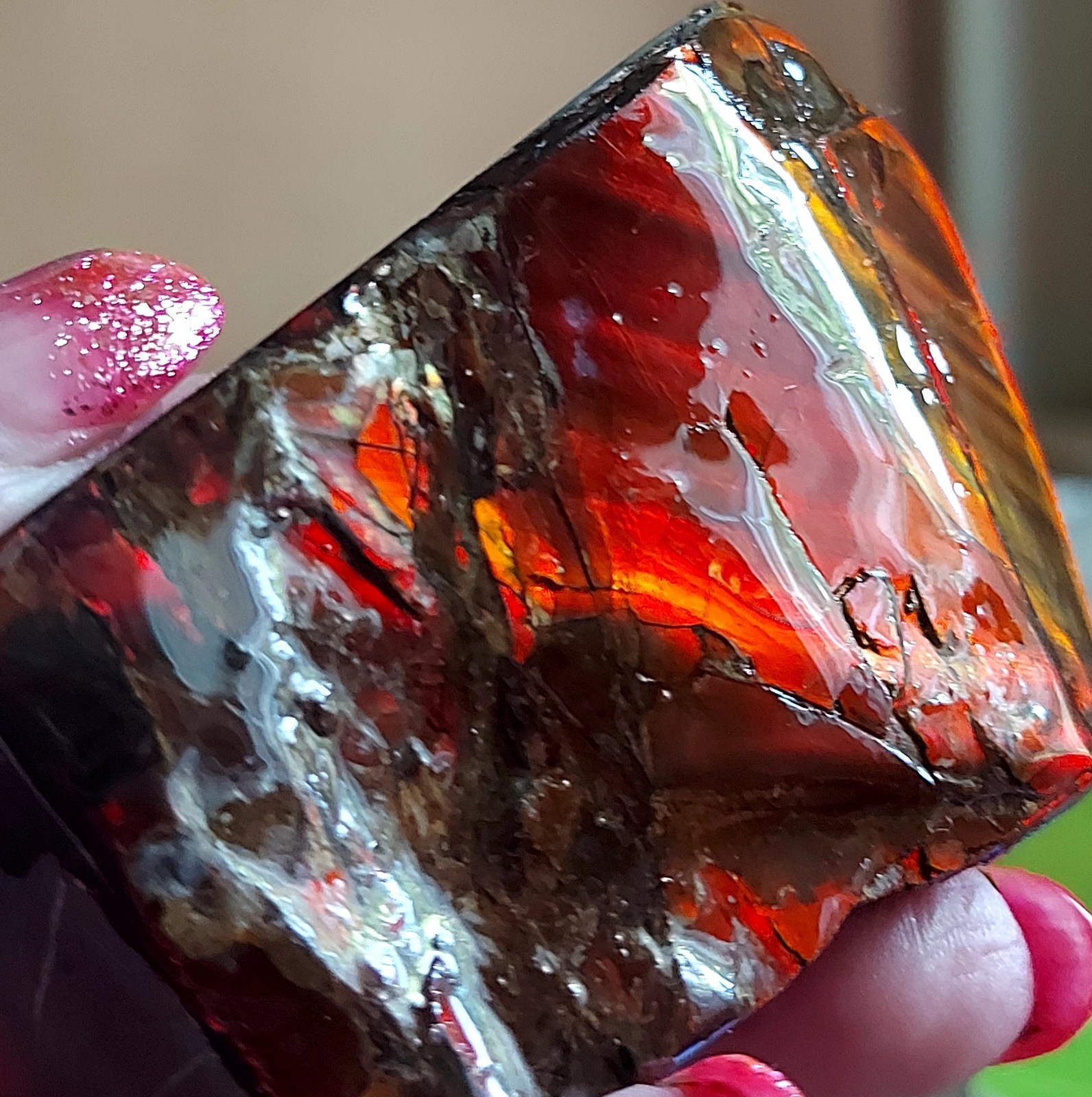 Ammolite Ammonite tabletop Display Piece Color Changer 77.6x50x24.7mm 5323