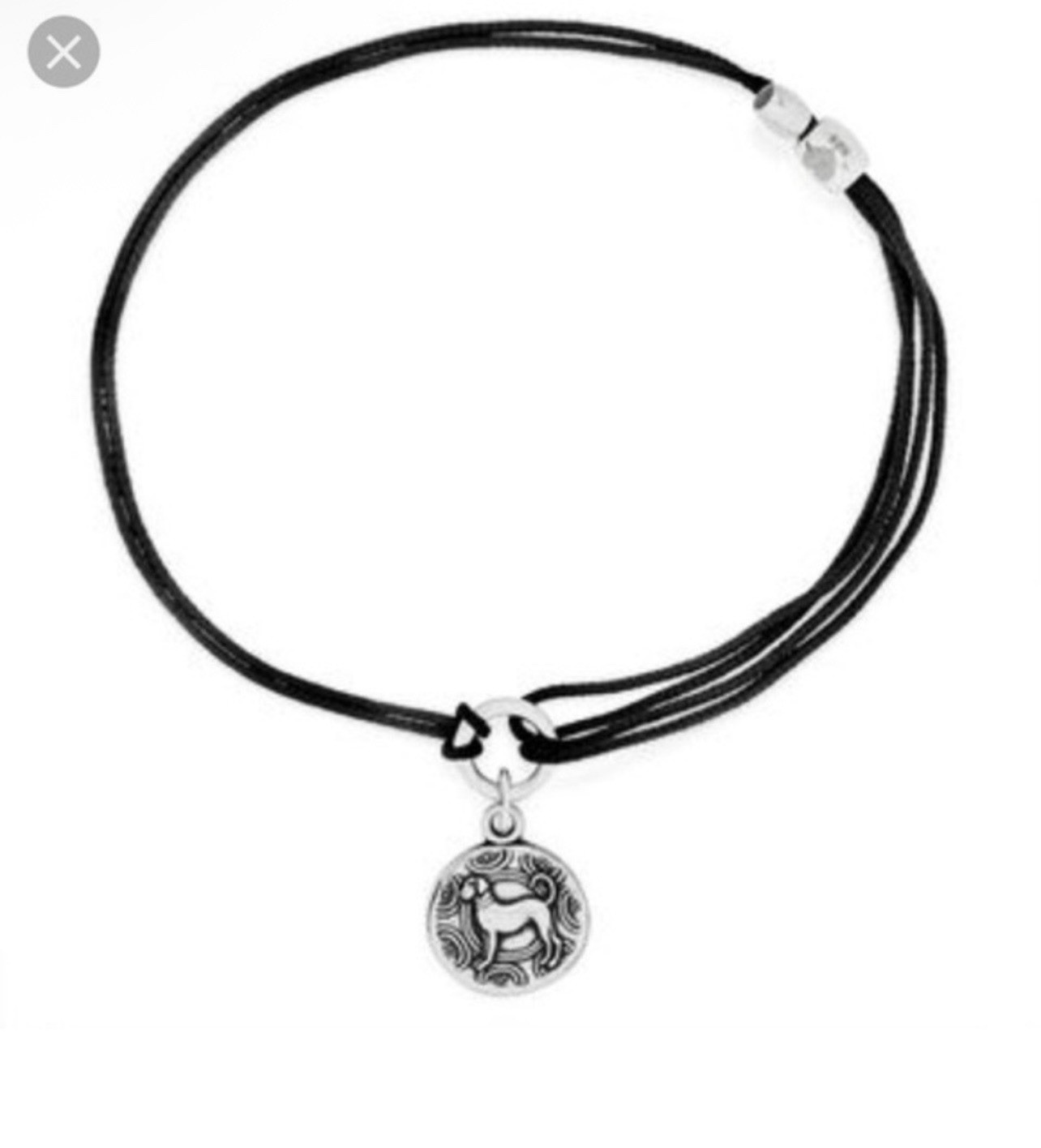 Alex And Ani Kindred Cord Love Tokens Dog Bracelet