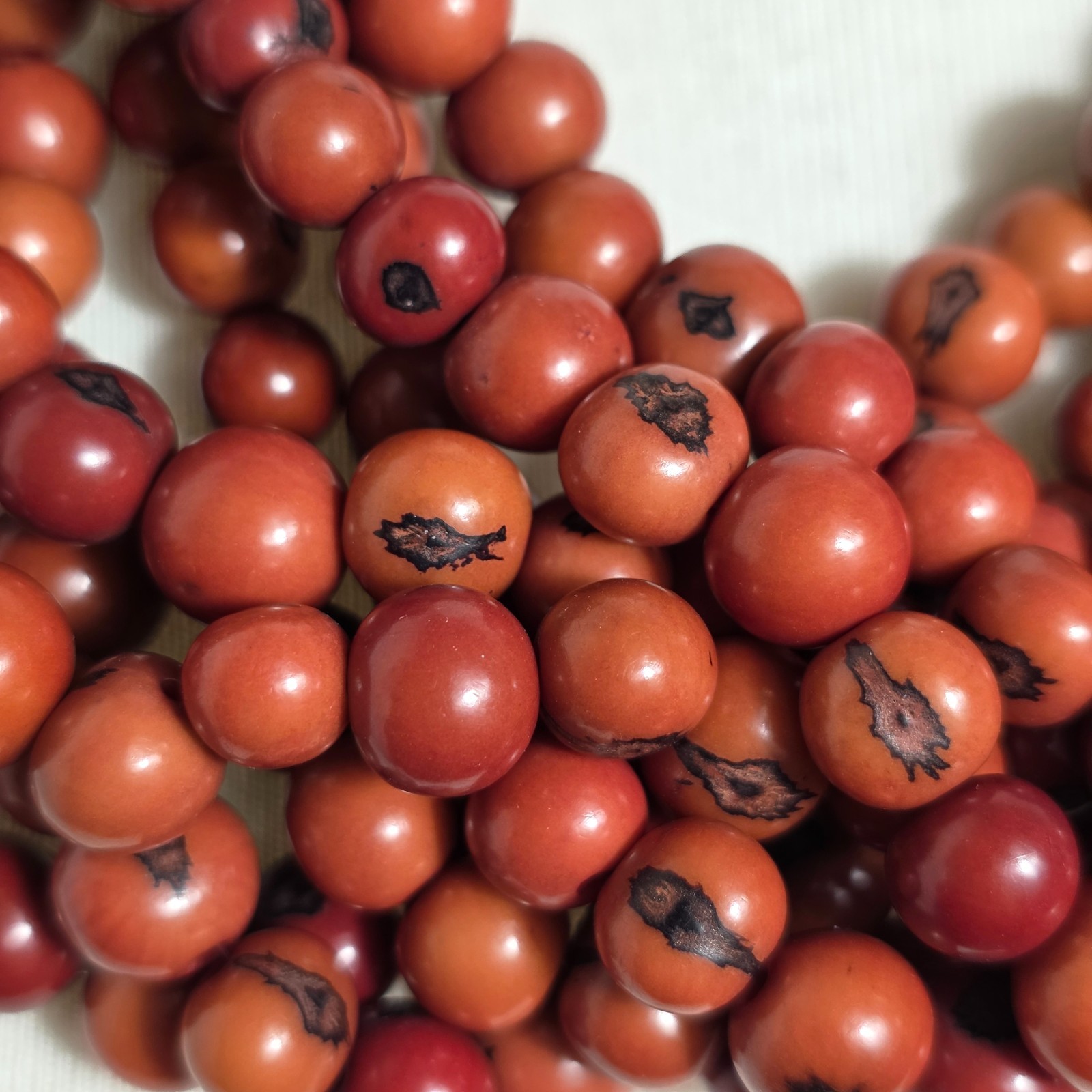 Multi-Strand Dyed Coral Colored Acai Seed Bead Necklace Gold Seed Bead Accents