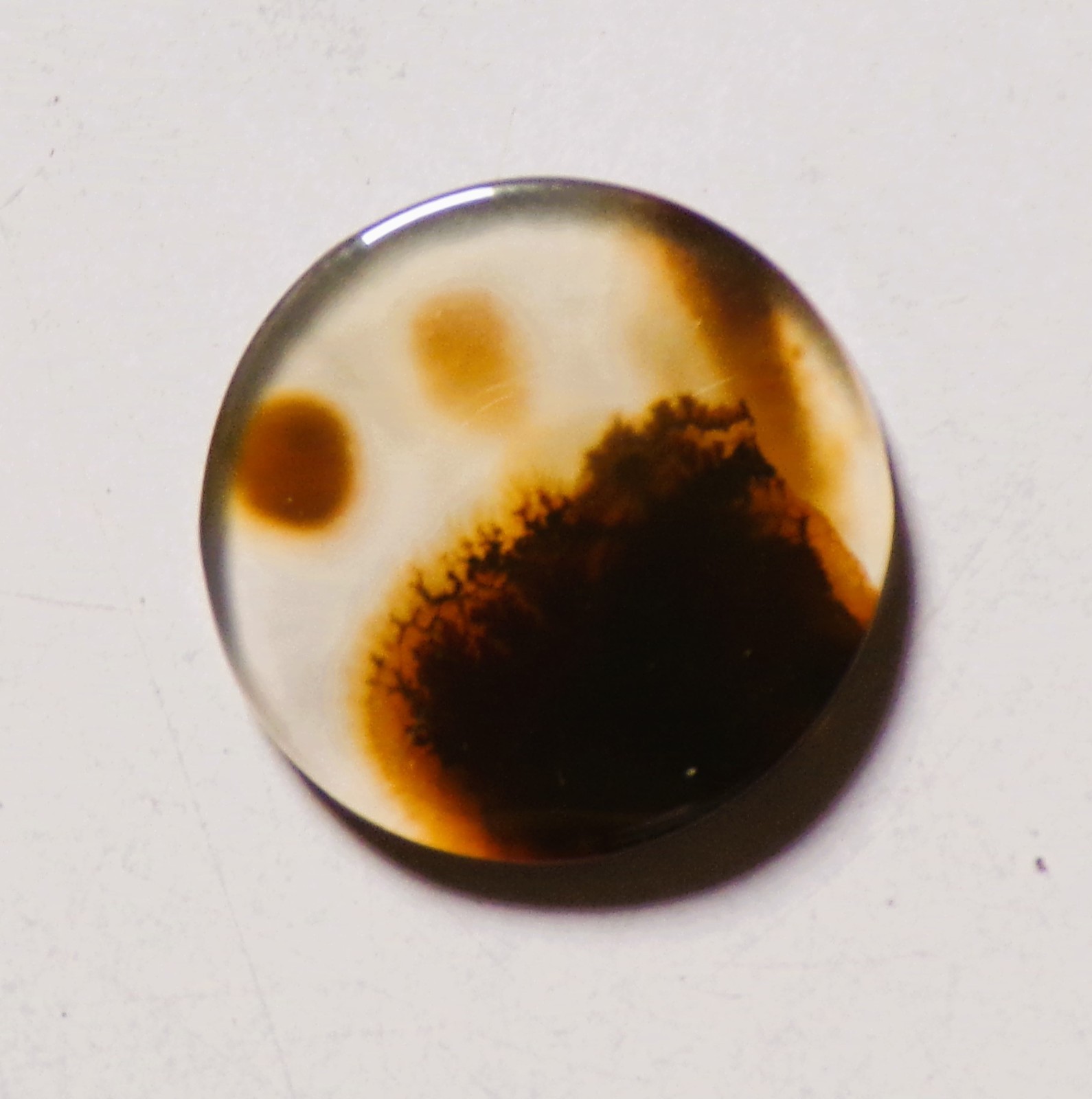 10.00 Cts Natural Shazar Dendritic Agate Cabochon Loose Gemstone 19X19X3.2MM 174