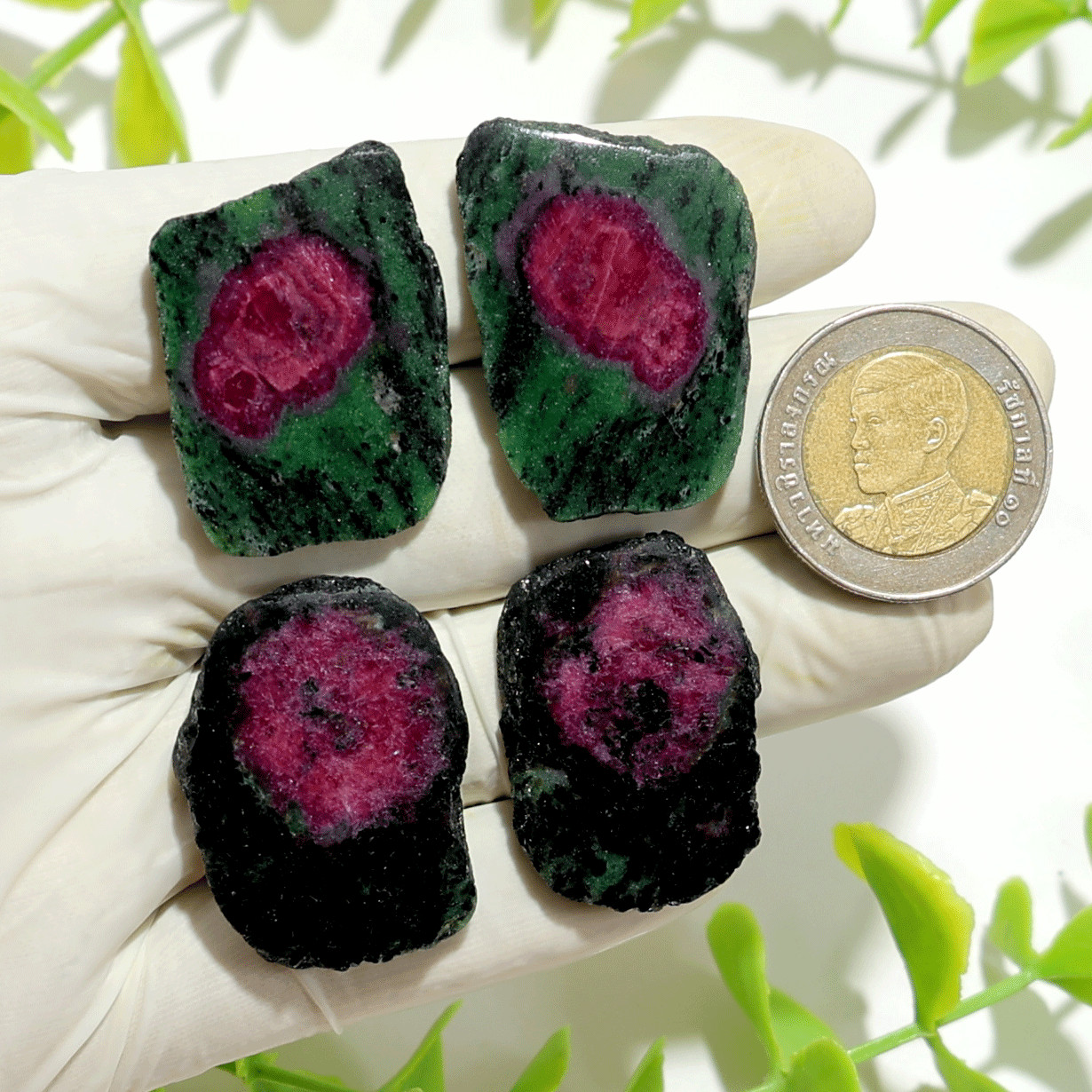 4 PC~ 2 Pairs Natural Ruby In Zoisite 32mm-35mm Matching Slices Gemstones Parcel